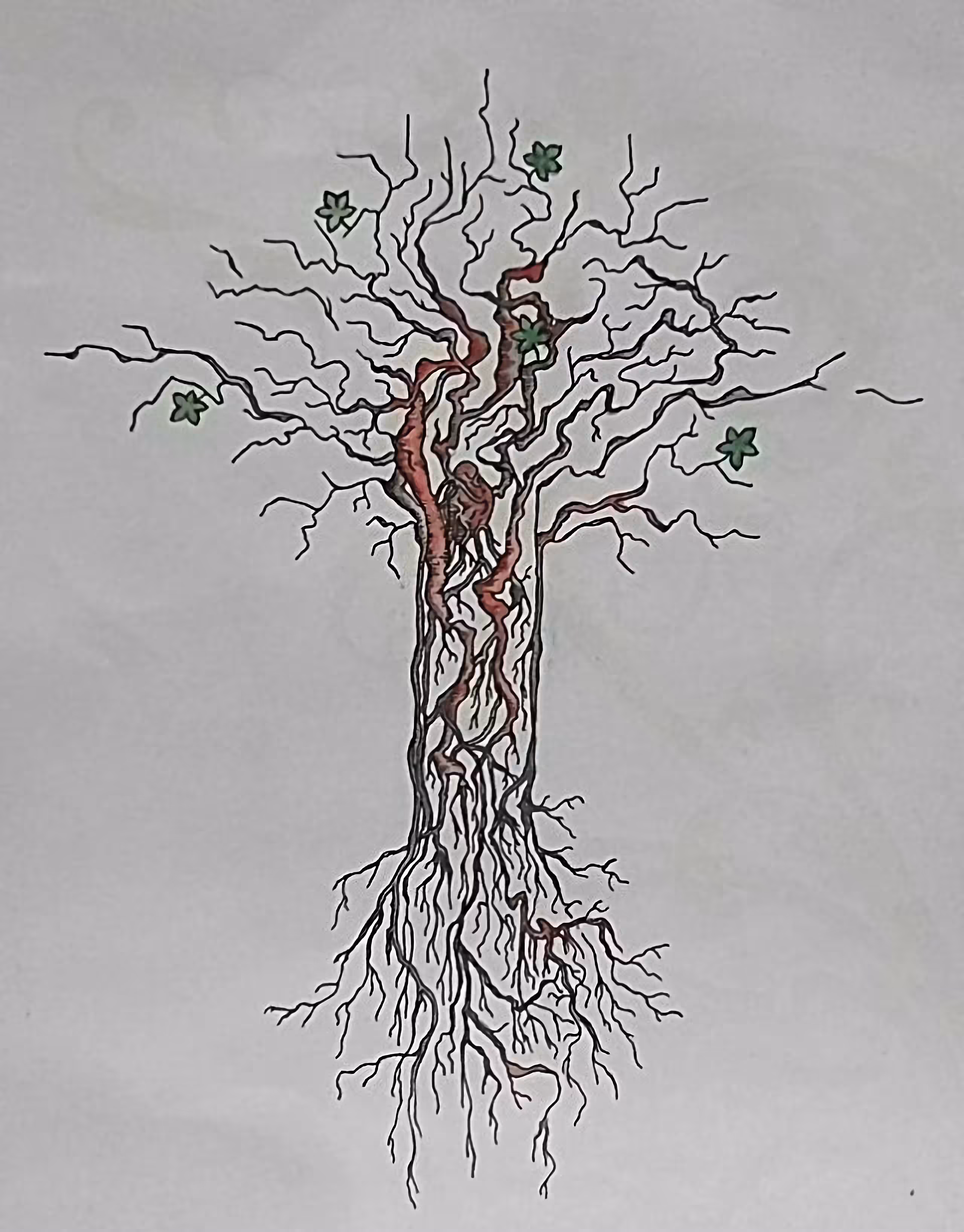 Tree of Life