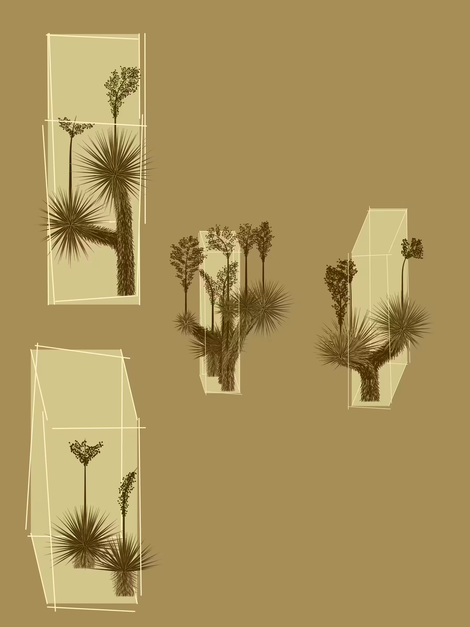 Marfa Yucca #99