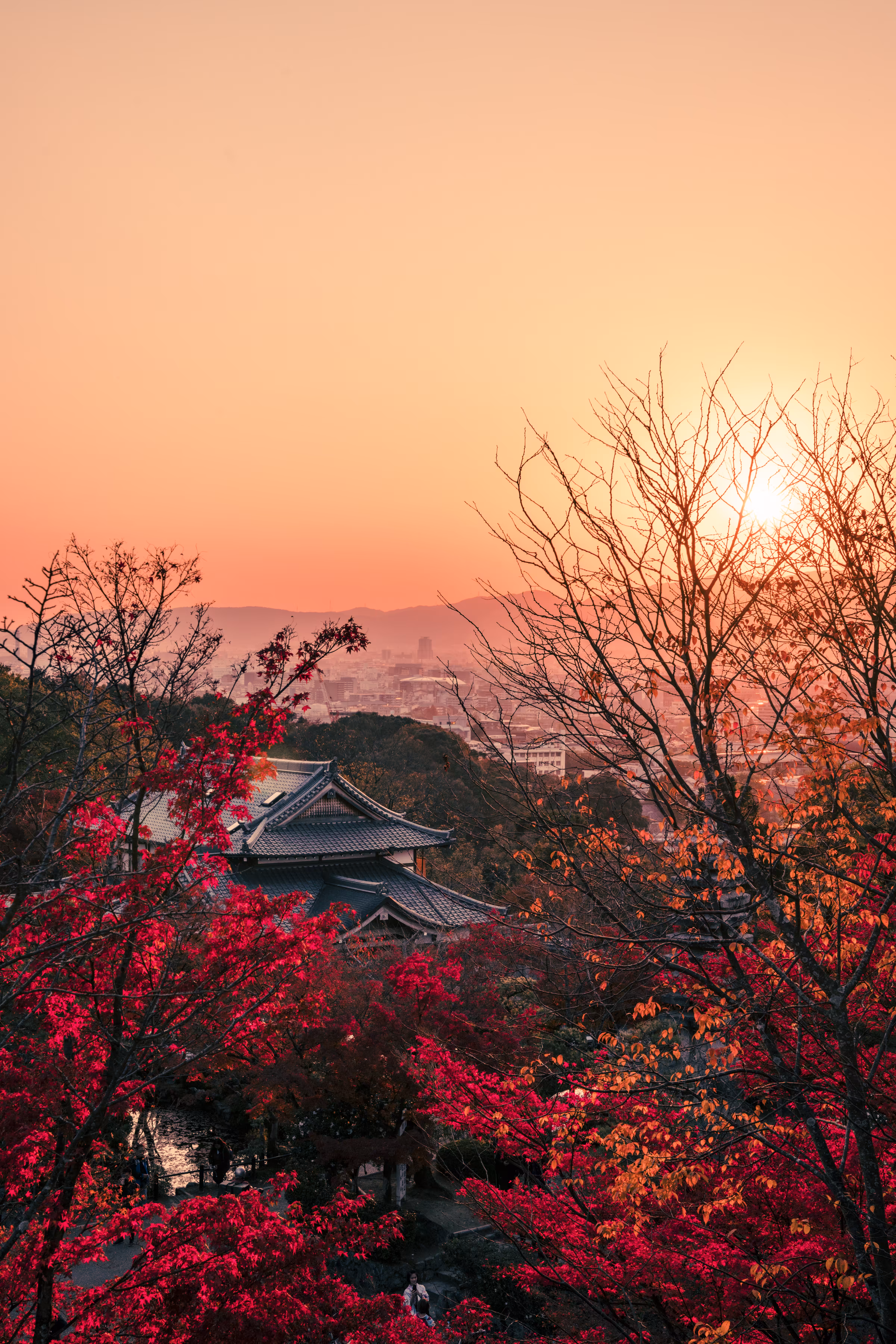 Koyo Kyoto II