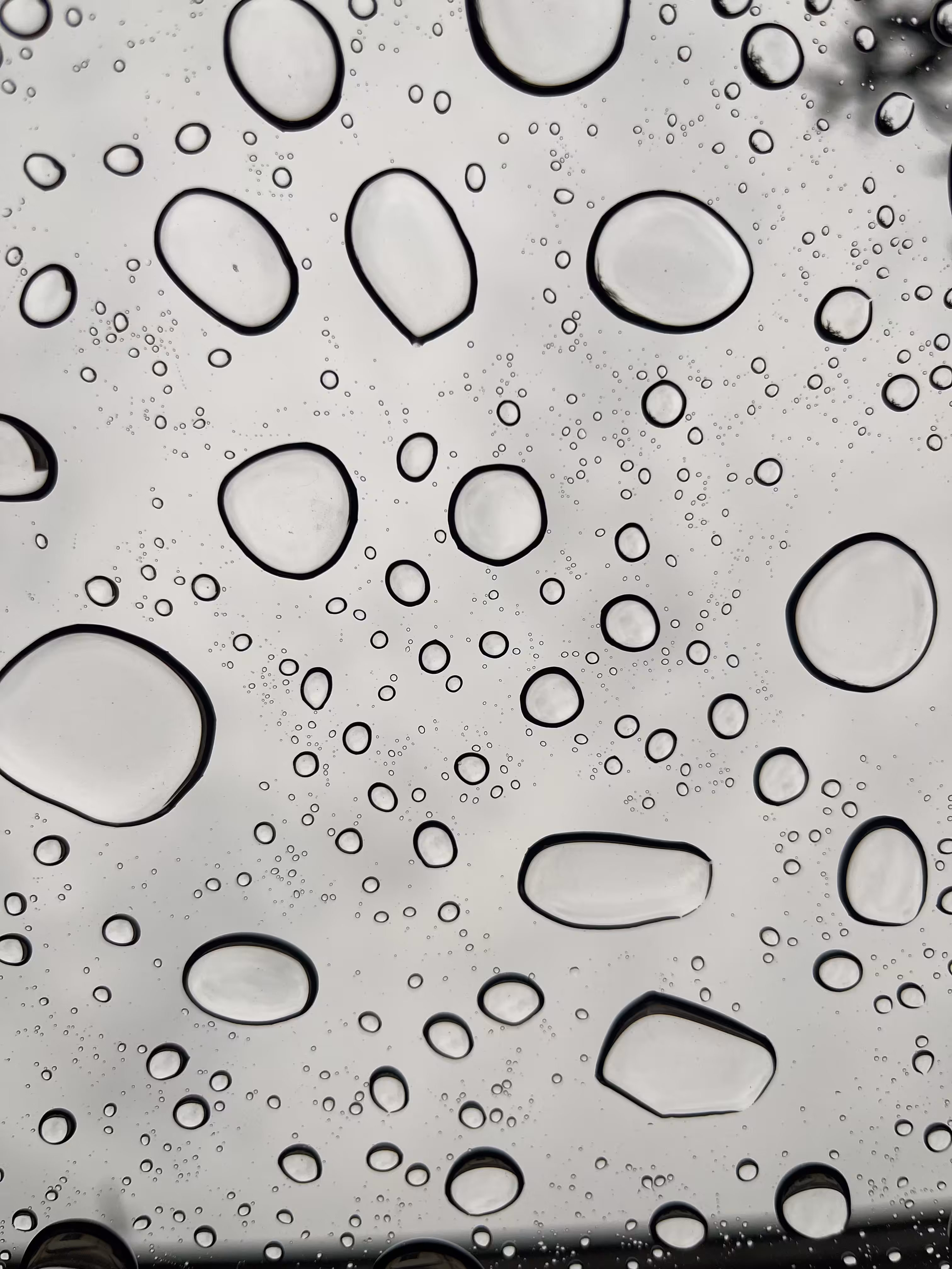 Drops of Rain on Glass