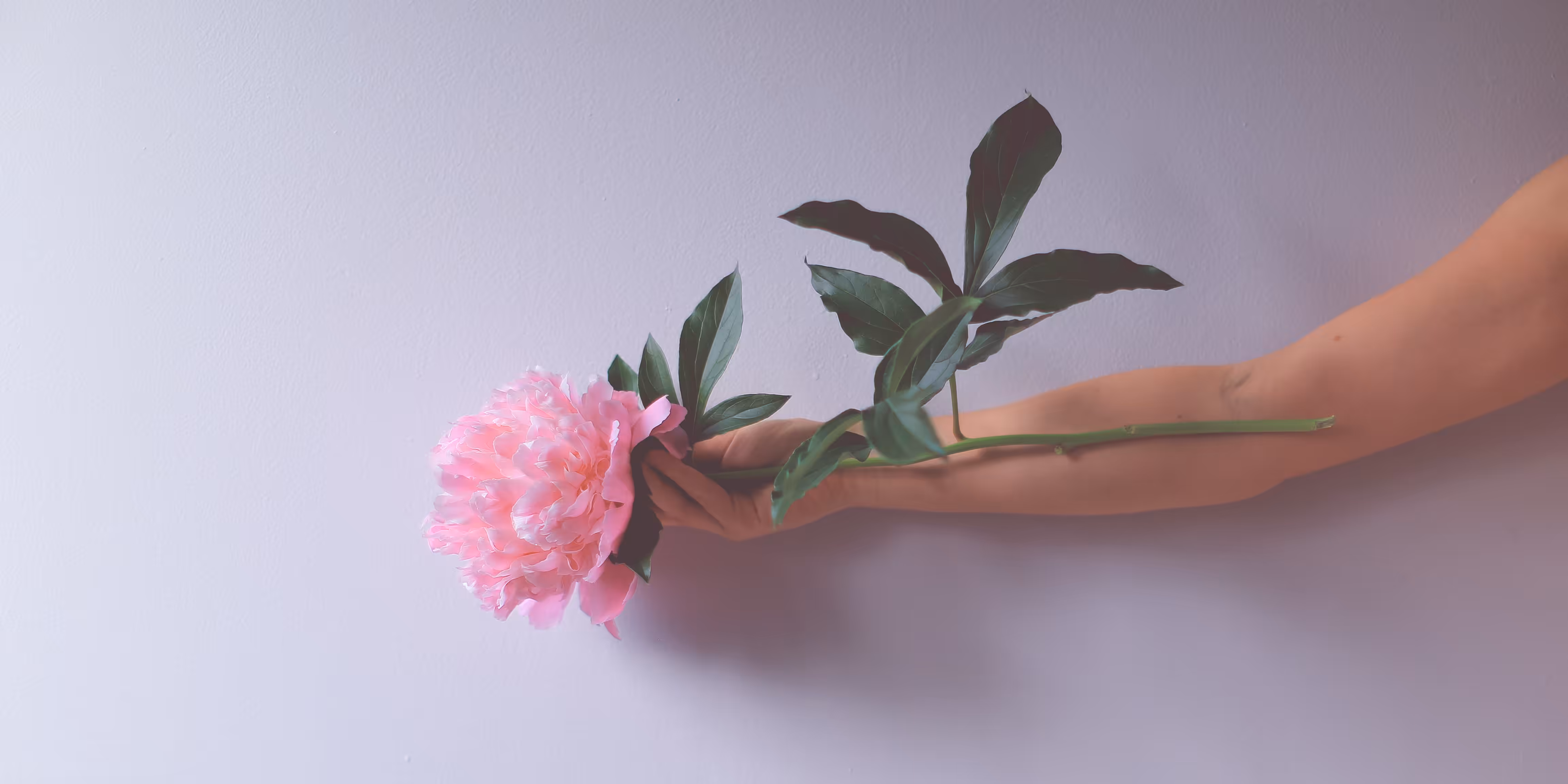 BLOOM