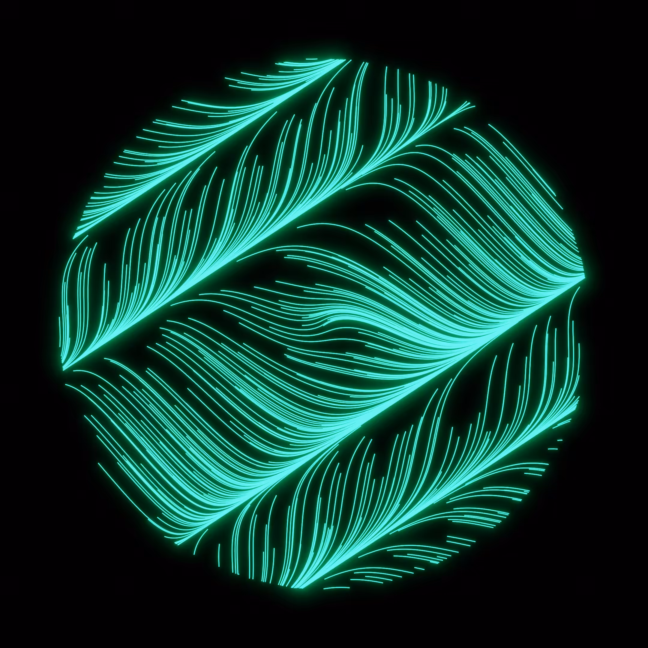 Vector Field 002