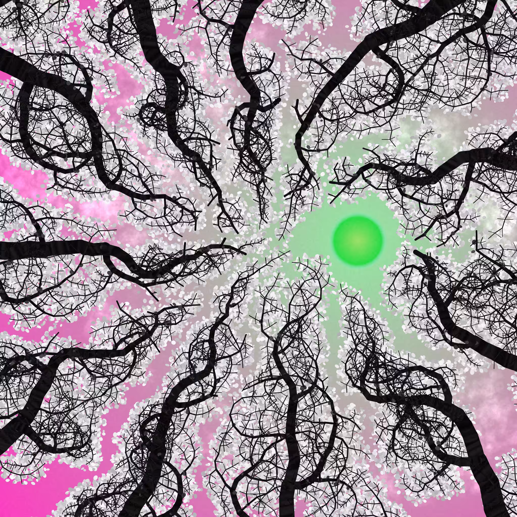 Tree Skyness #181
