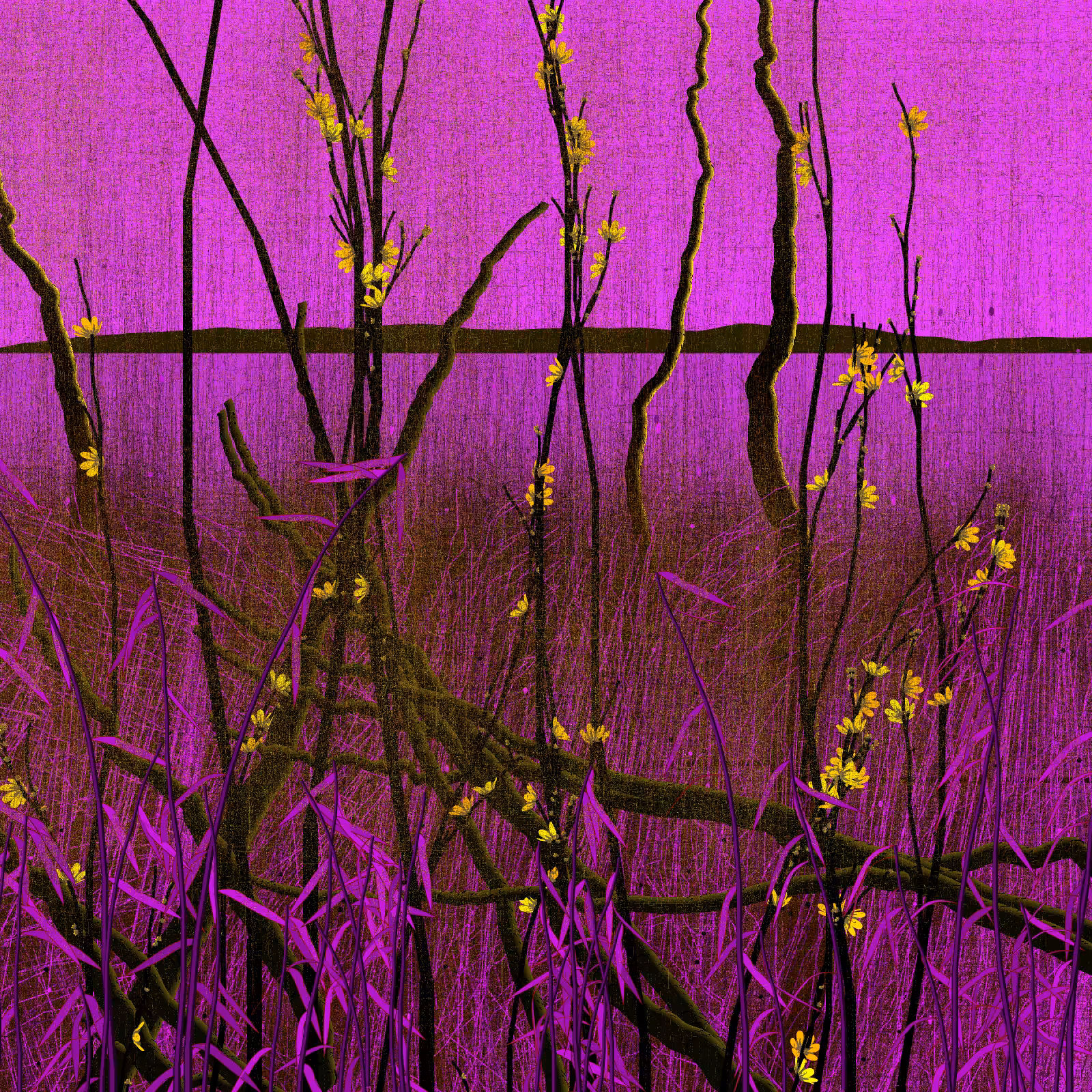 Dry twigs #59
