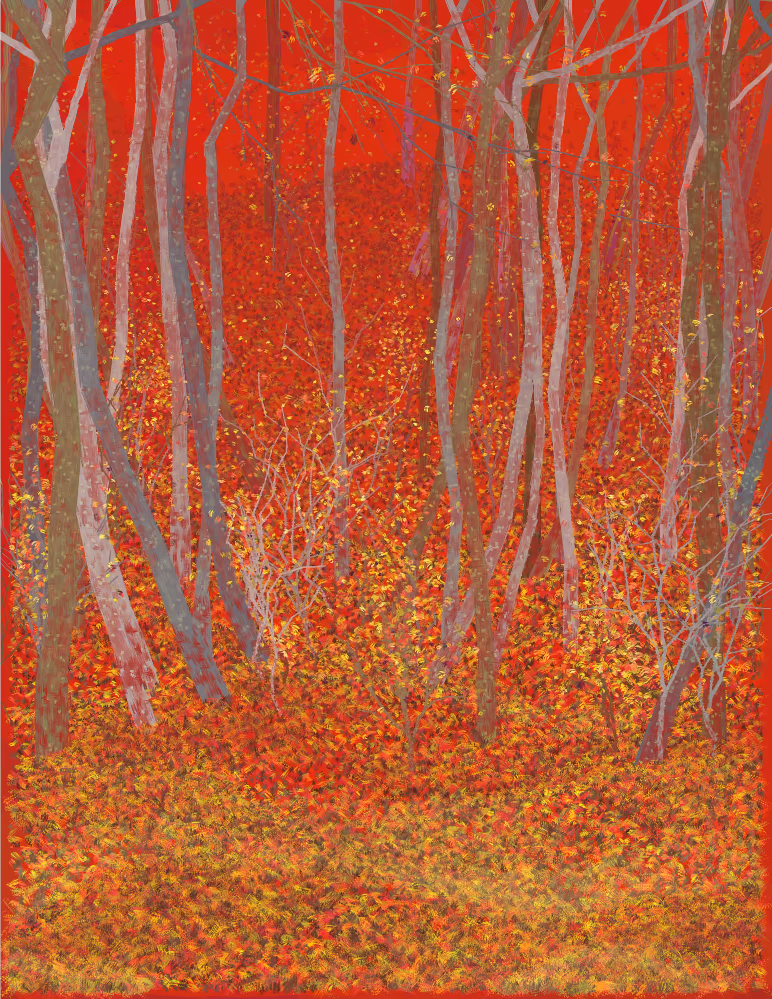 Deep Forest #294