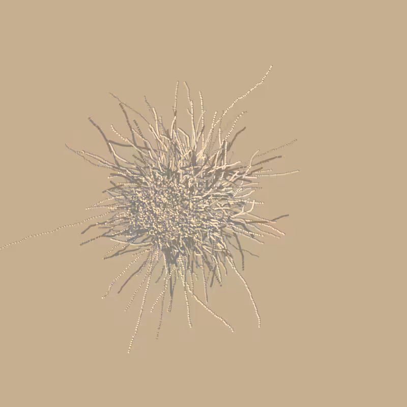 fibinous infection #116