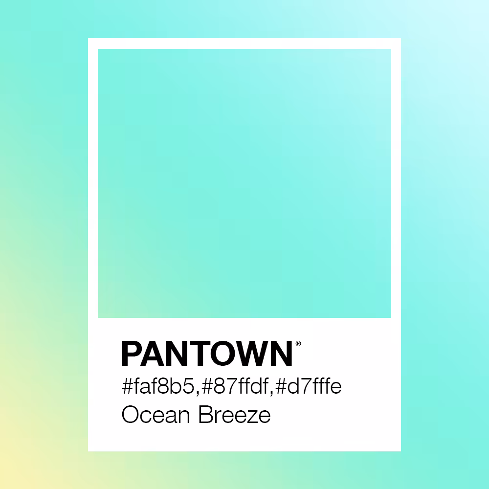 PANTOWN® ~002