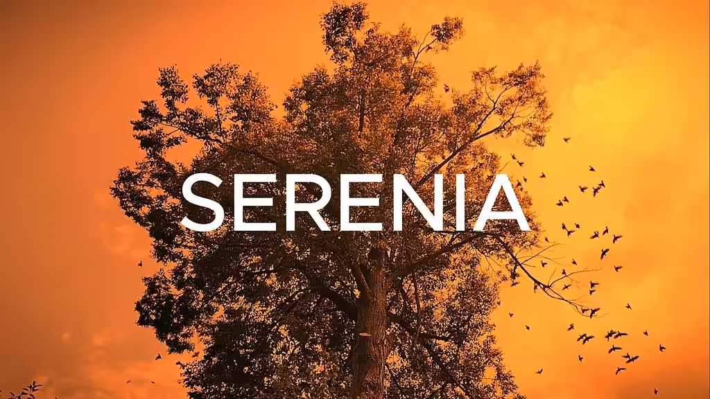 Serene silence