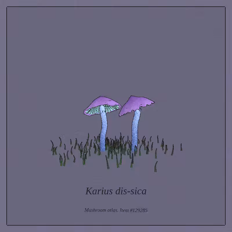 Mushroom Atlas #39