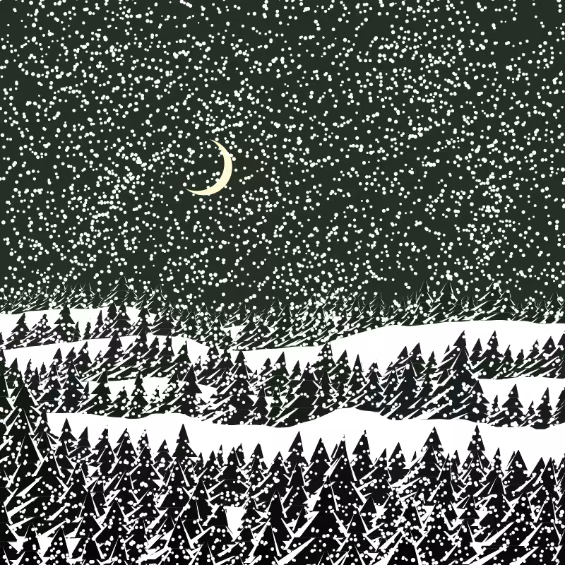 Winterland #247