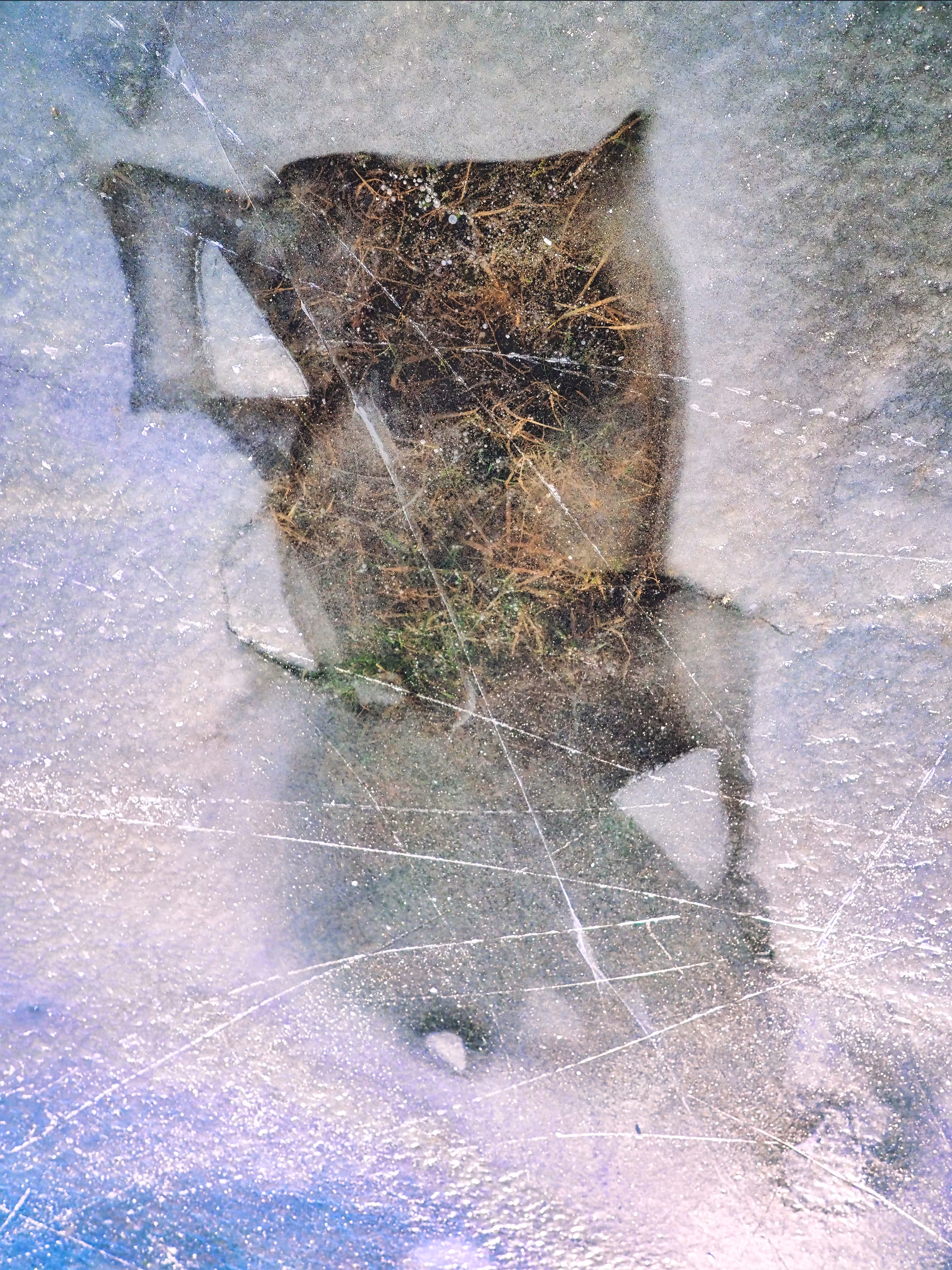 Frozen World II
