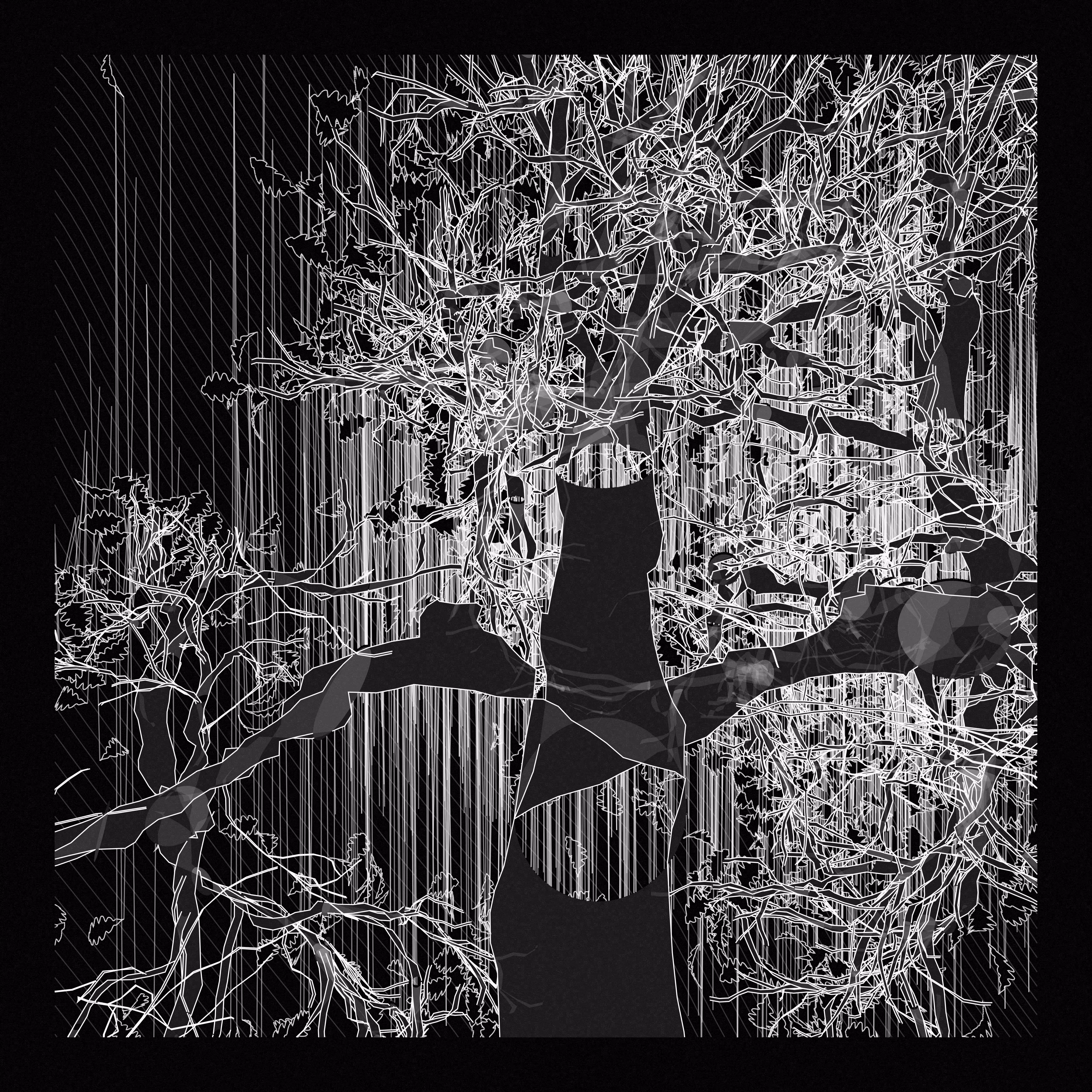 A Bugged Forest #959