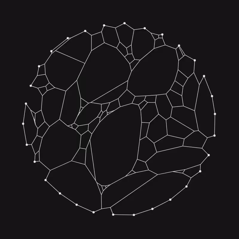 Elastic Web #185
