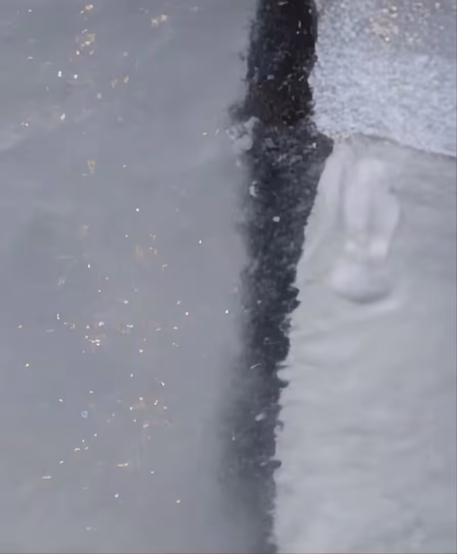 The walking of bodies on the changing climate: Digital Bones