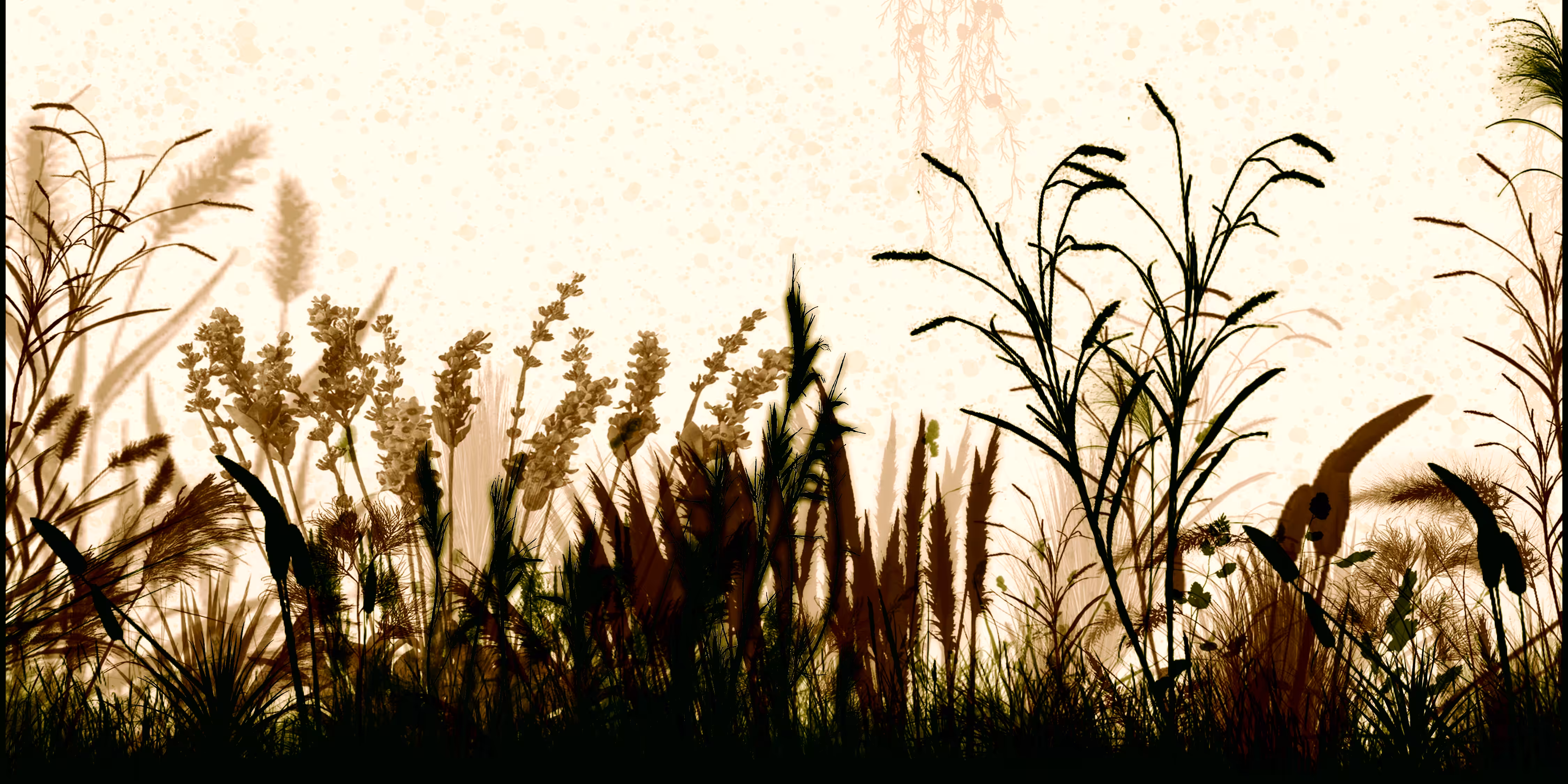 NATURALGARDEN POACEAE