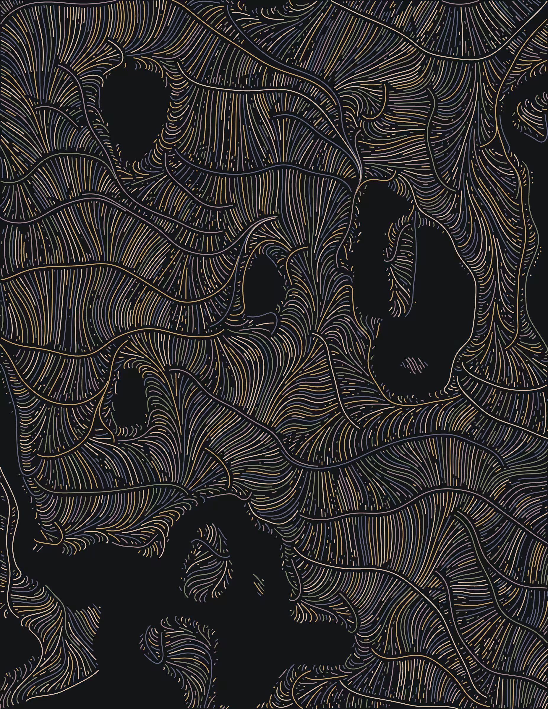 Streamlines #463