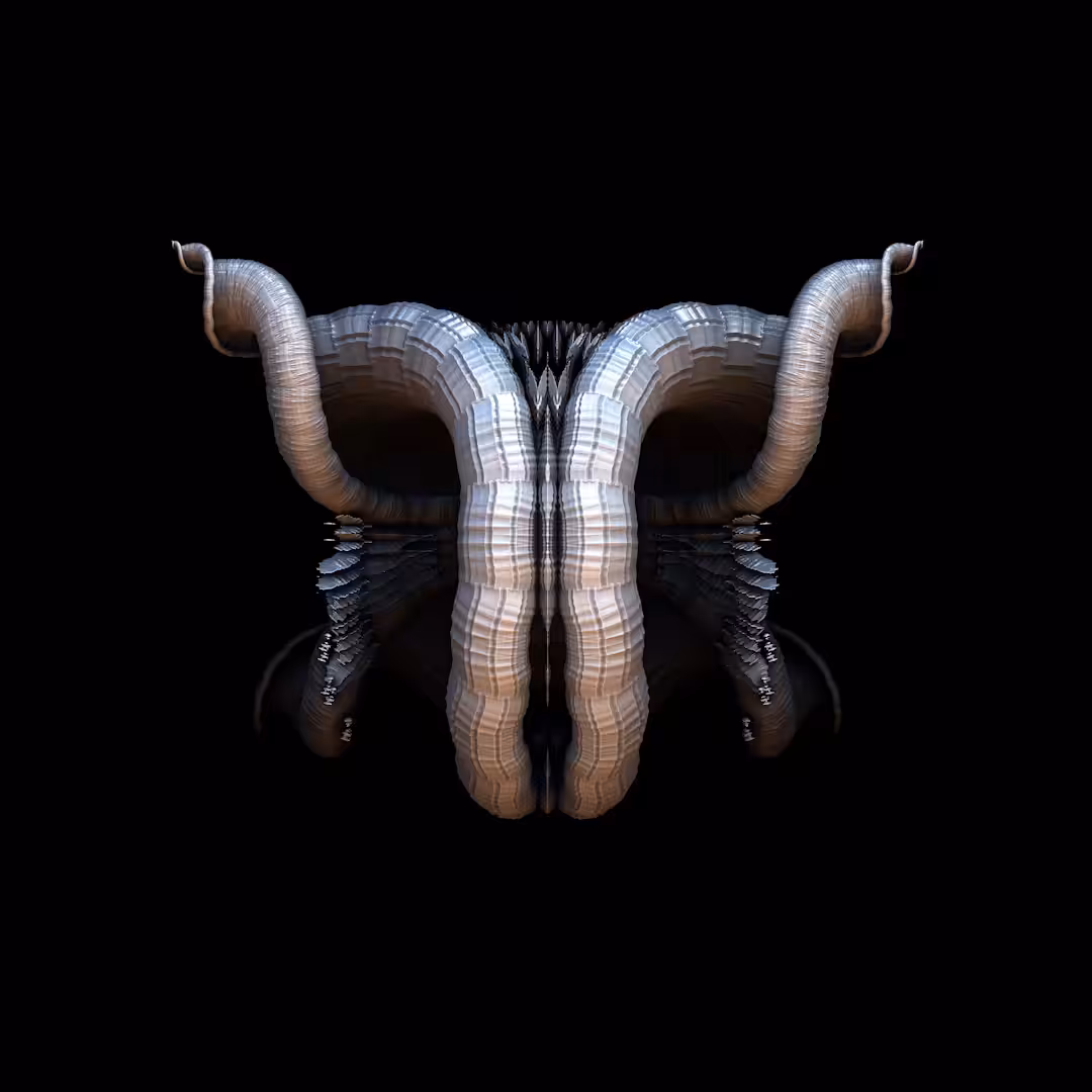 RAM
