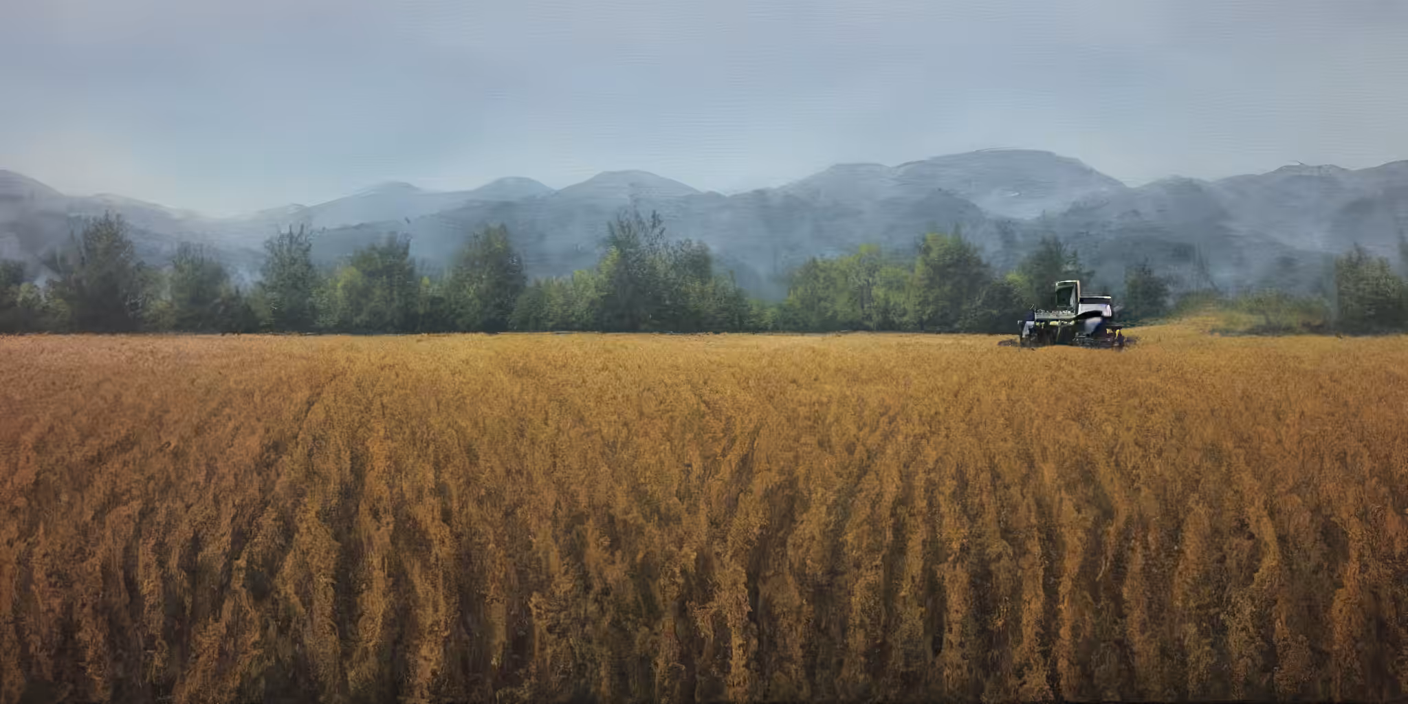 AI Field #08