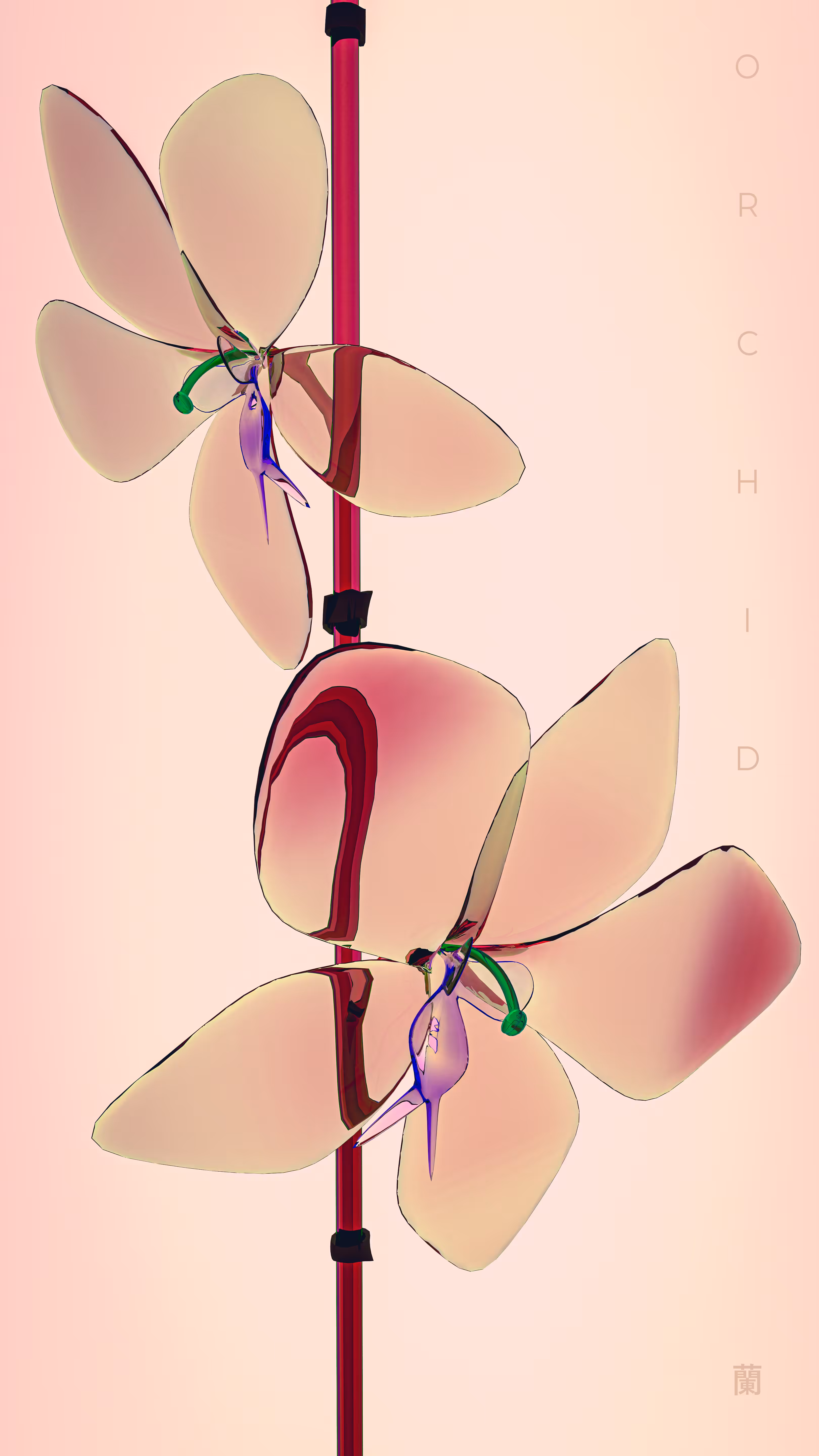 Orchid - 蘭 (Collector's Edition) #4/37