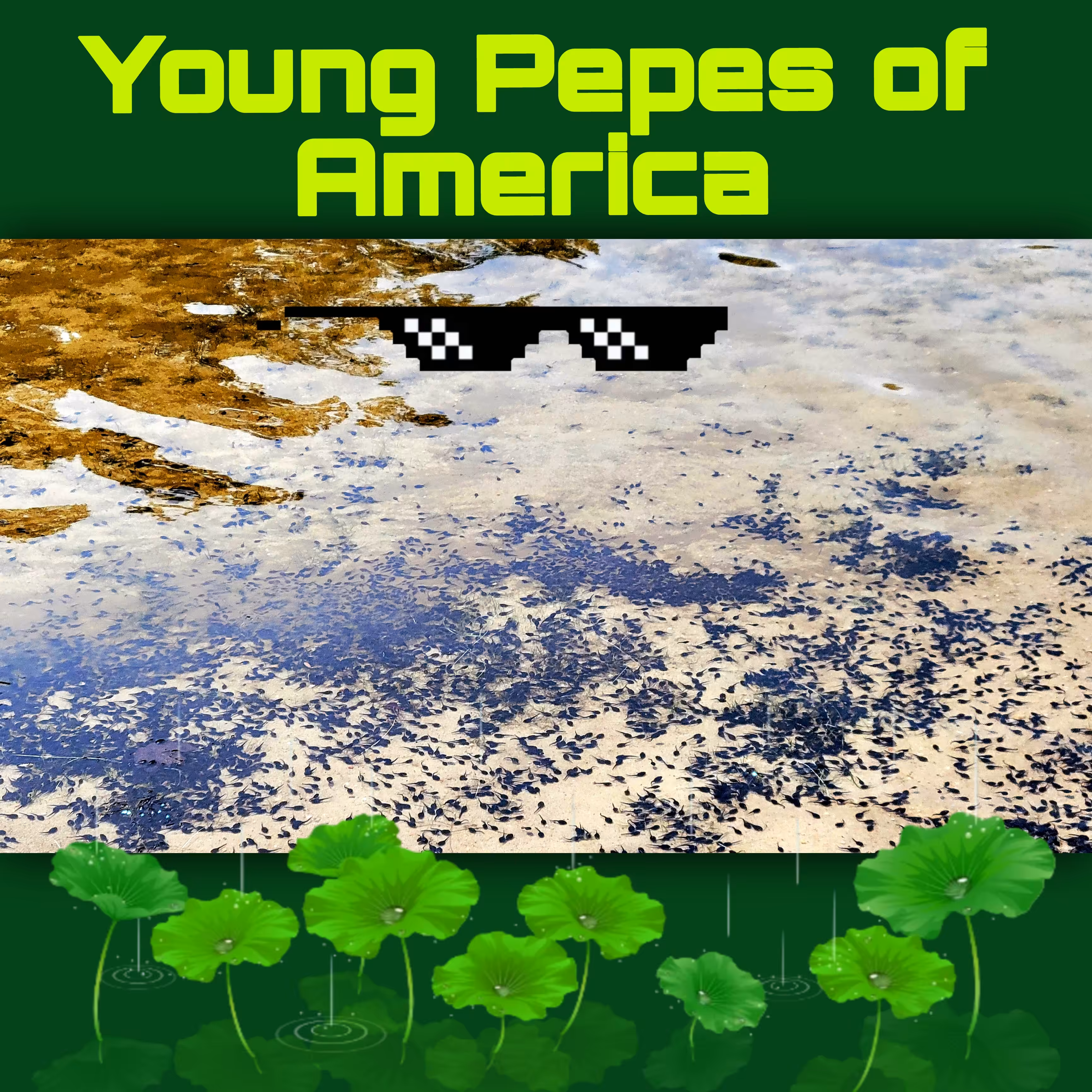 Baby Pepes