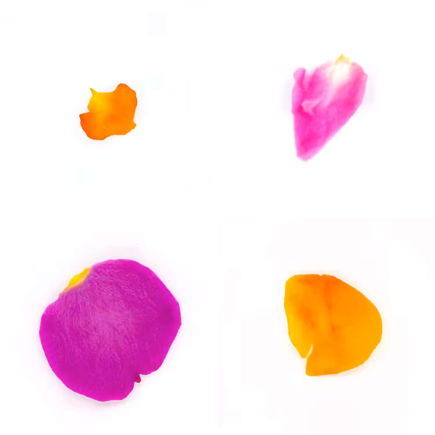 Infinite Petals 2x2#20601