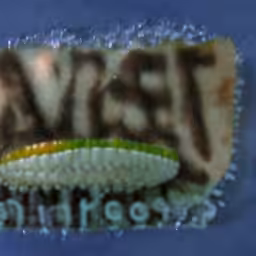 DotCom Seance: iharvest.com (1997-2001) reimagined by Cosmographia, with Simon Denny and Guile Twardowski