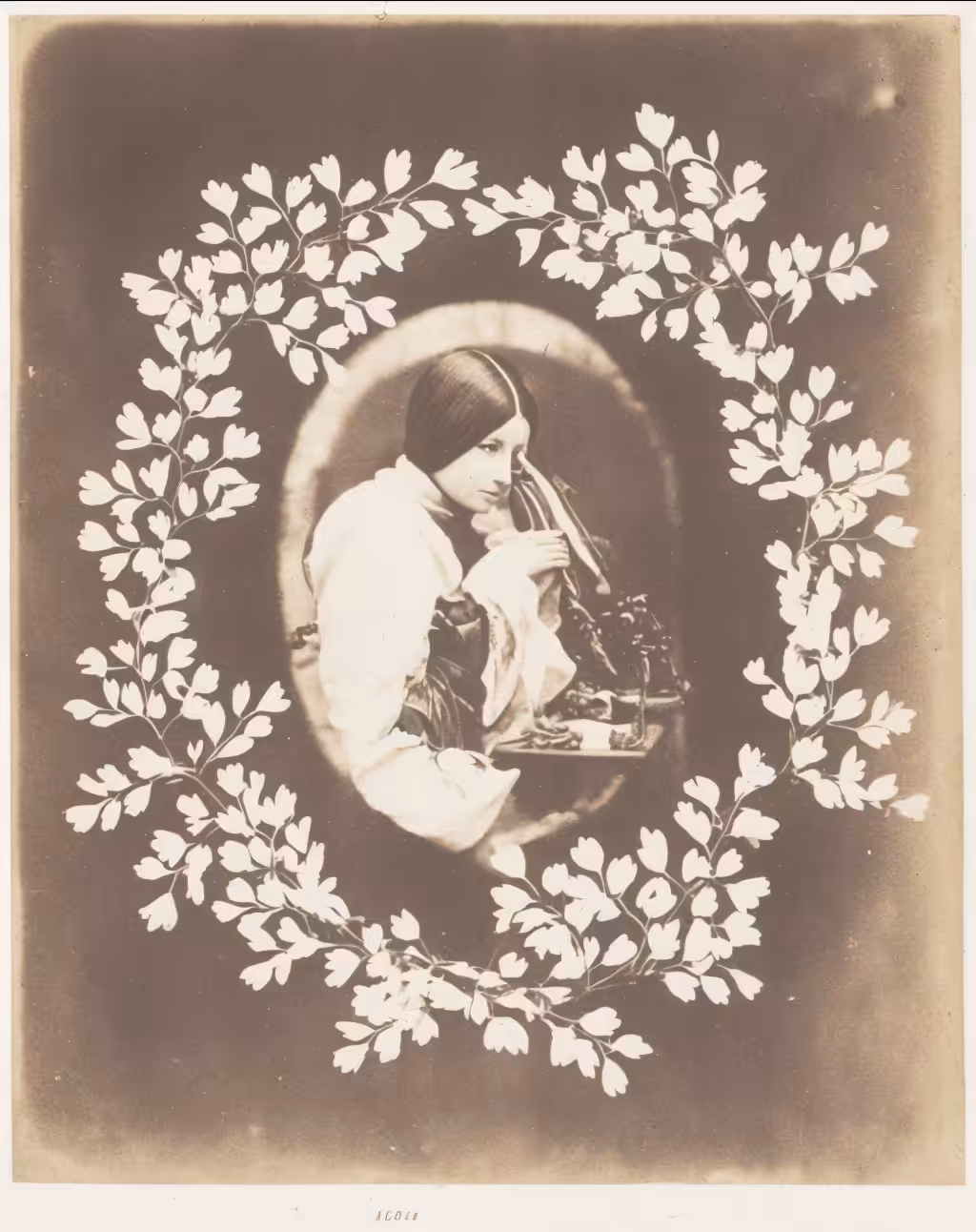 Maidenhair Fern, Calotype, Salted Paper Print (collage), 1861
