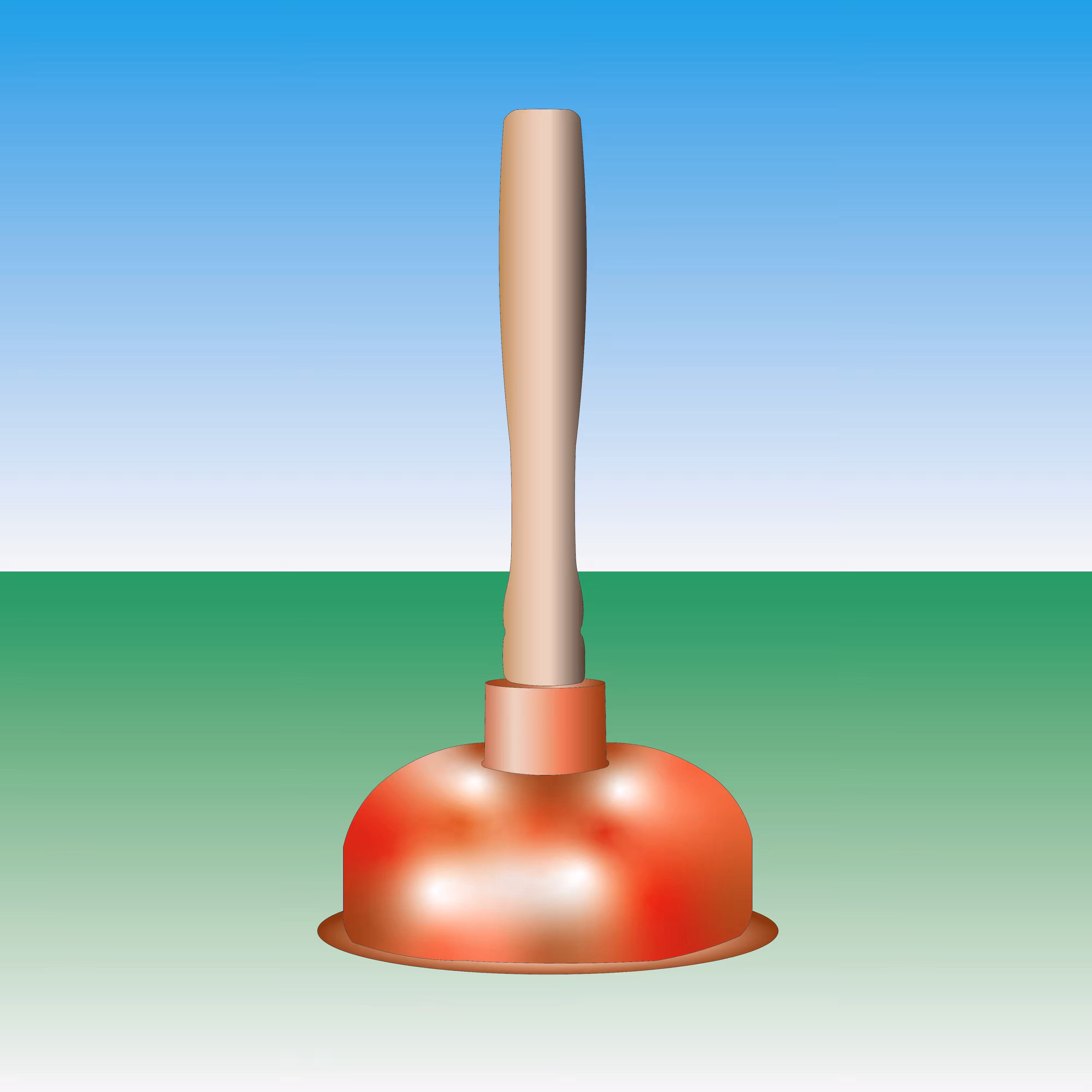 Plunger