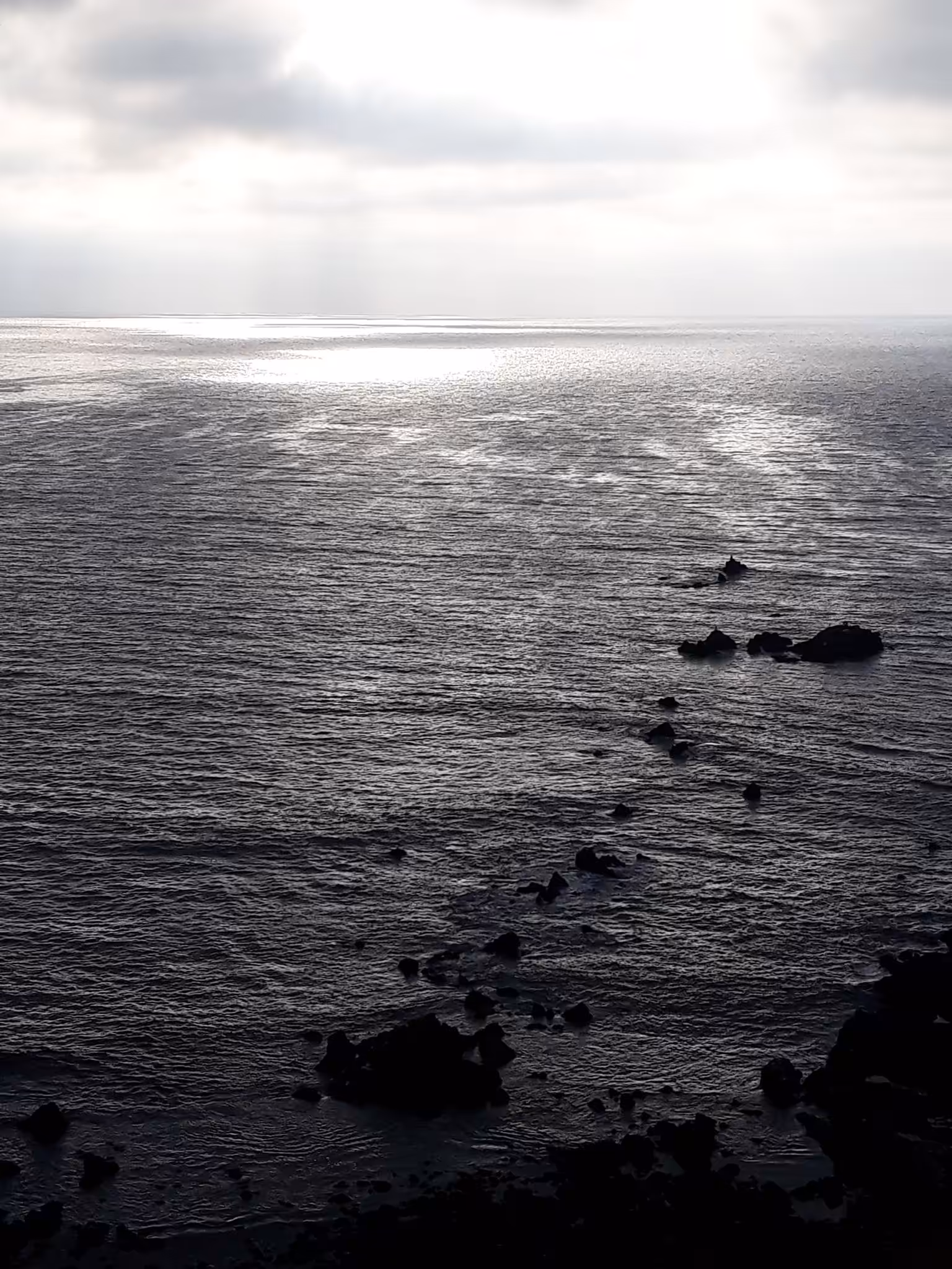 Shadowed Daylight