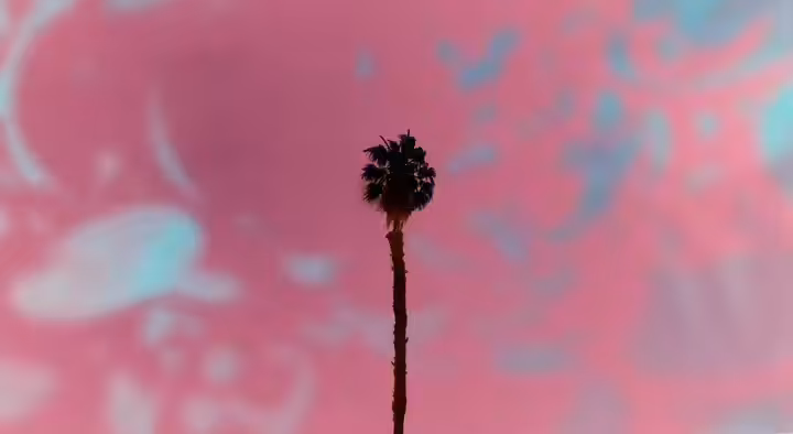 Untitled 3