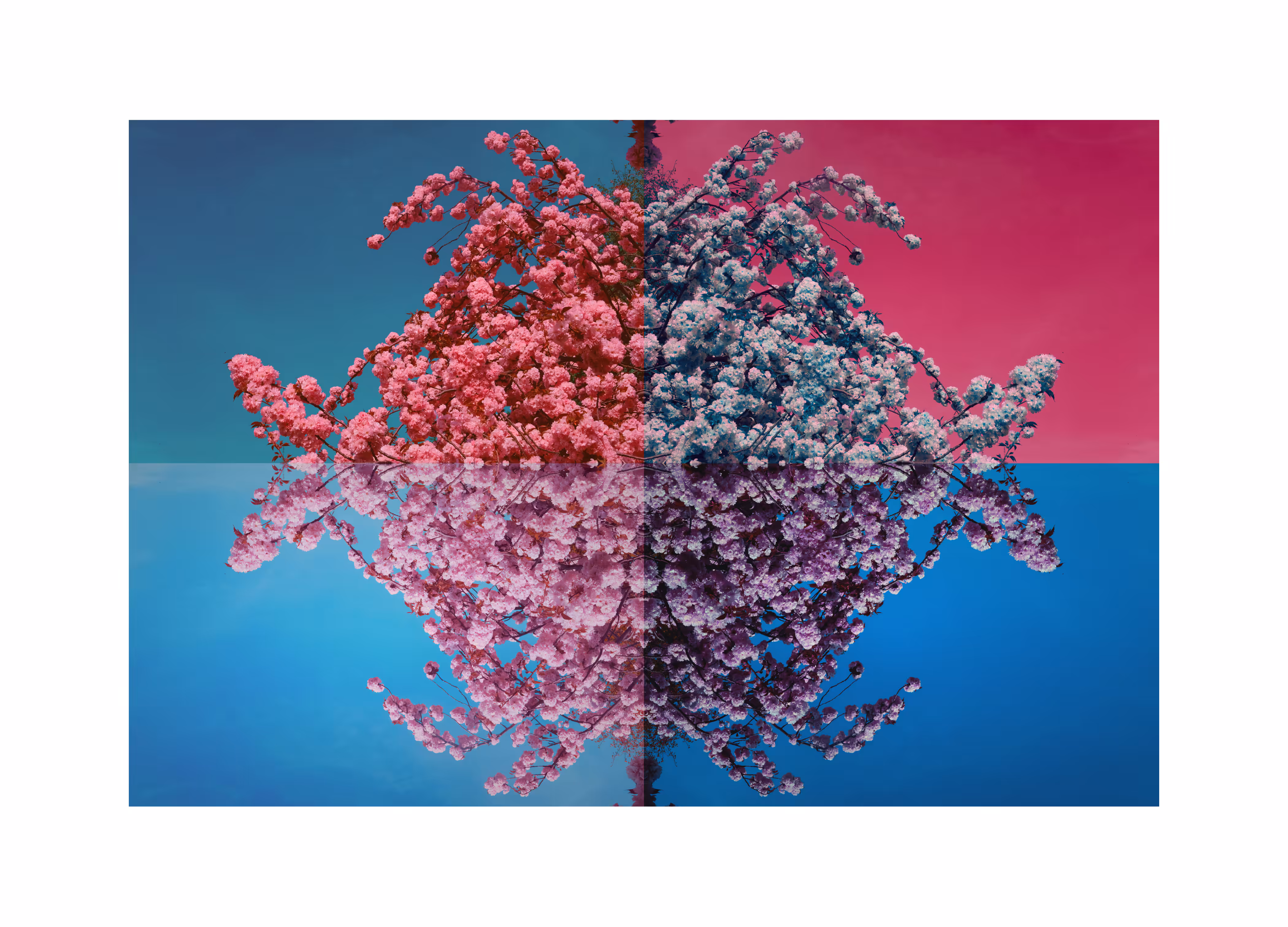 Neo-Sakura Earth