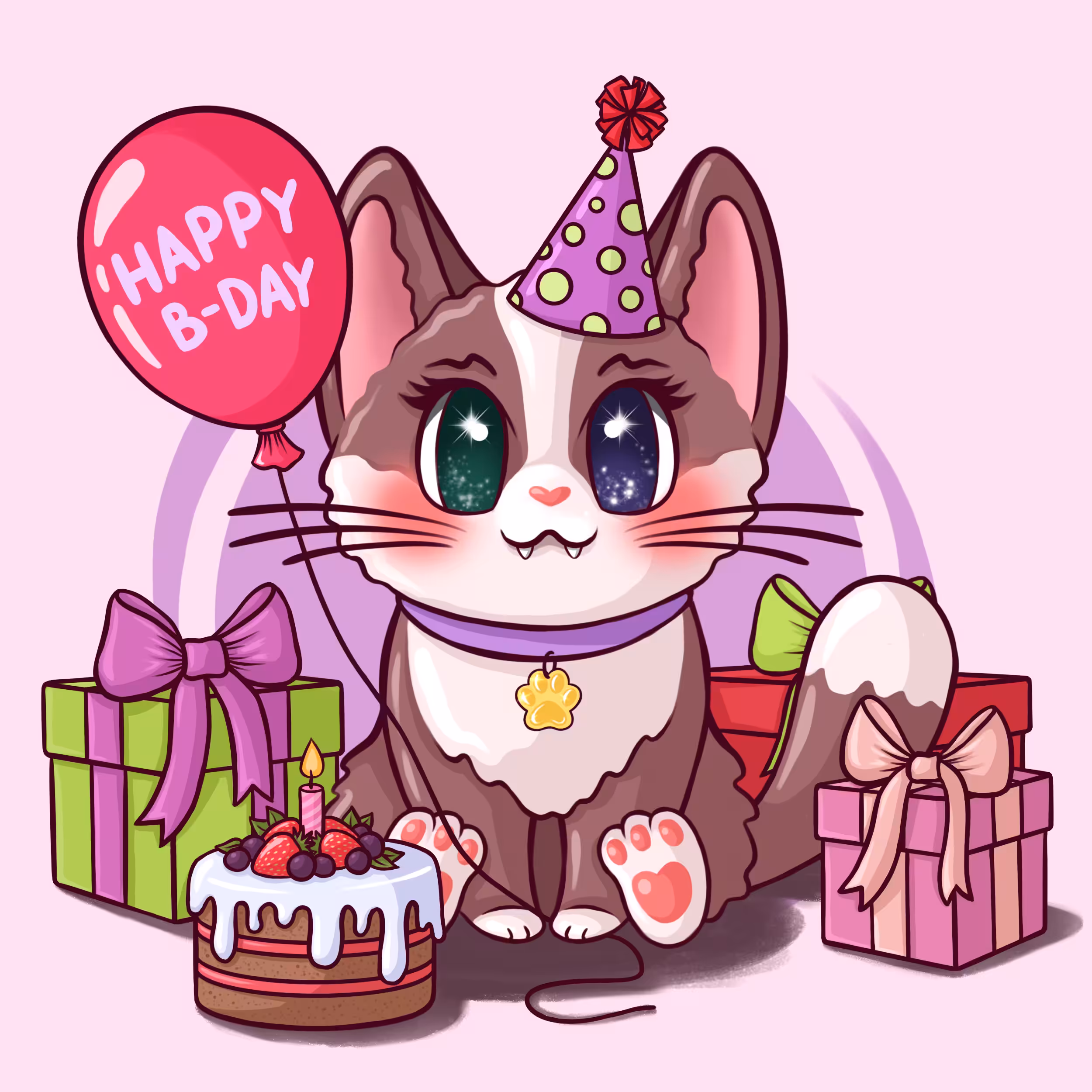 The interesting life of Pipa the cat | Part 2: Happy Birthday!