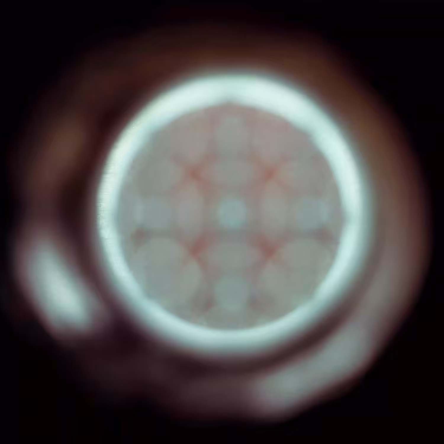 Panopticon