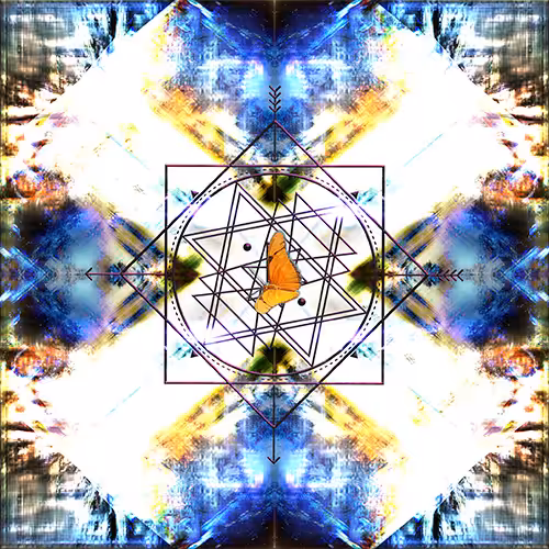 Tripendicular Orange Moth 06