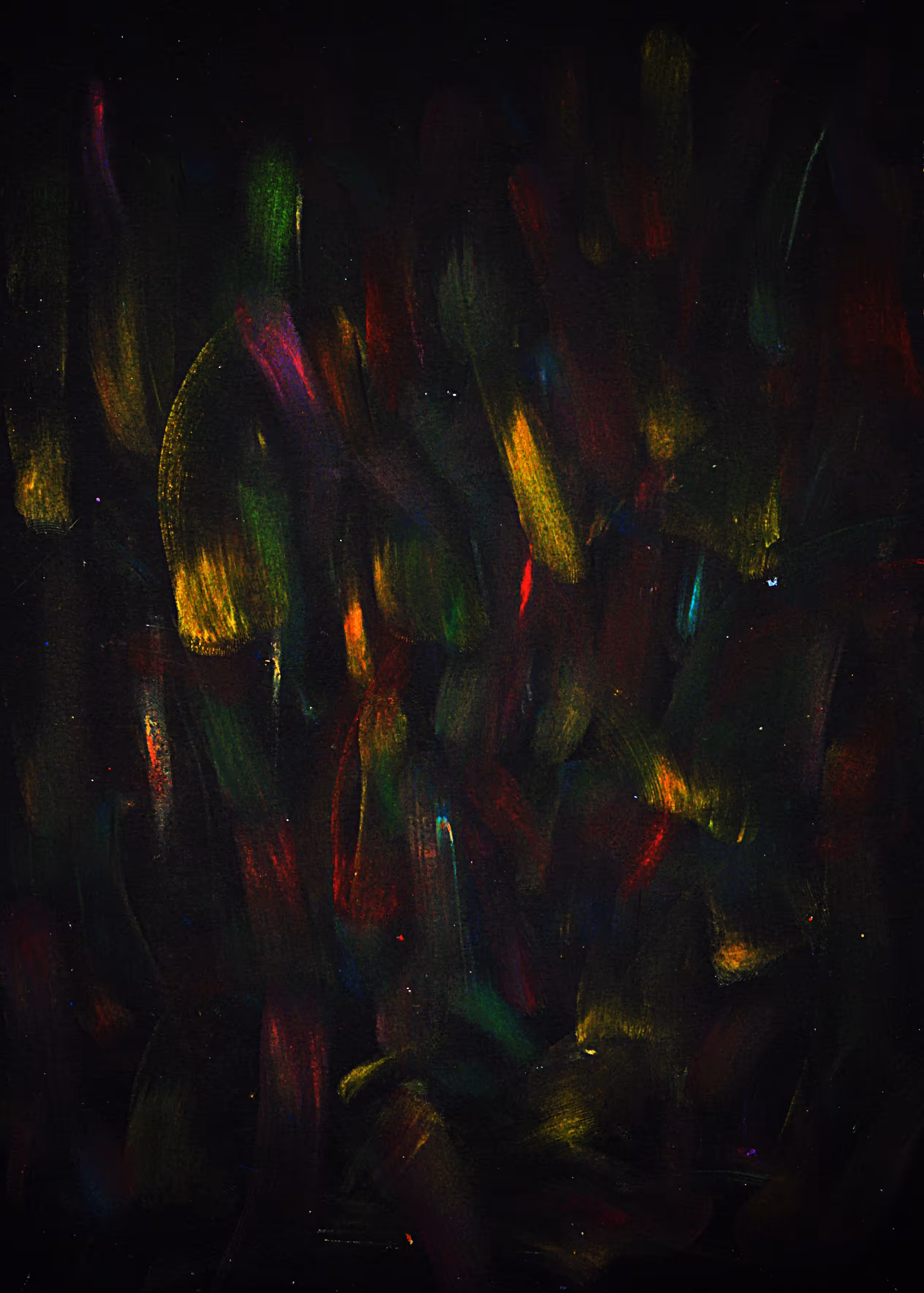 Crowd