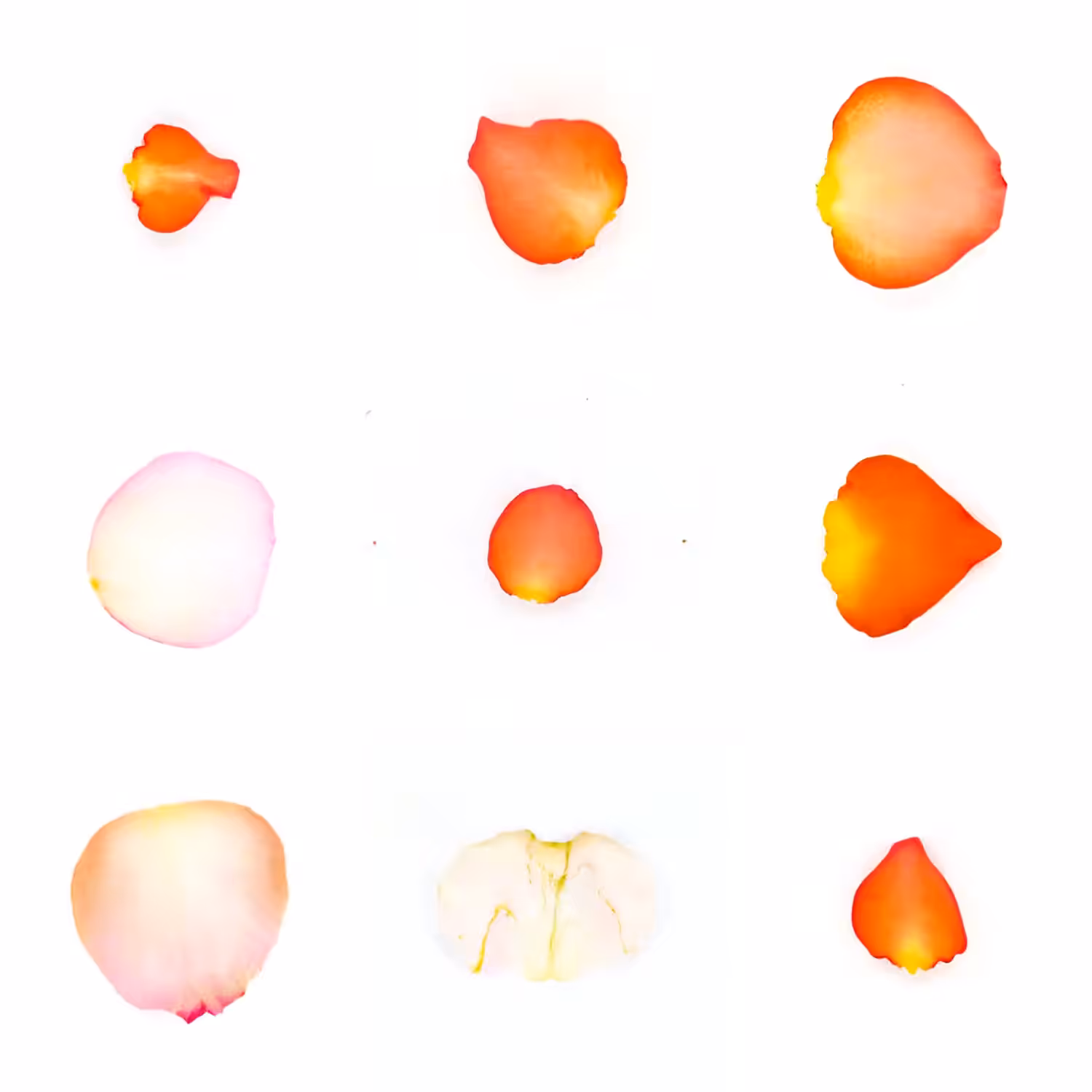 Infinite Petals 3x3#3839