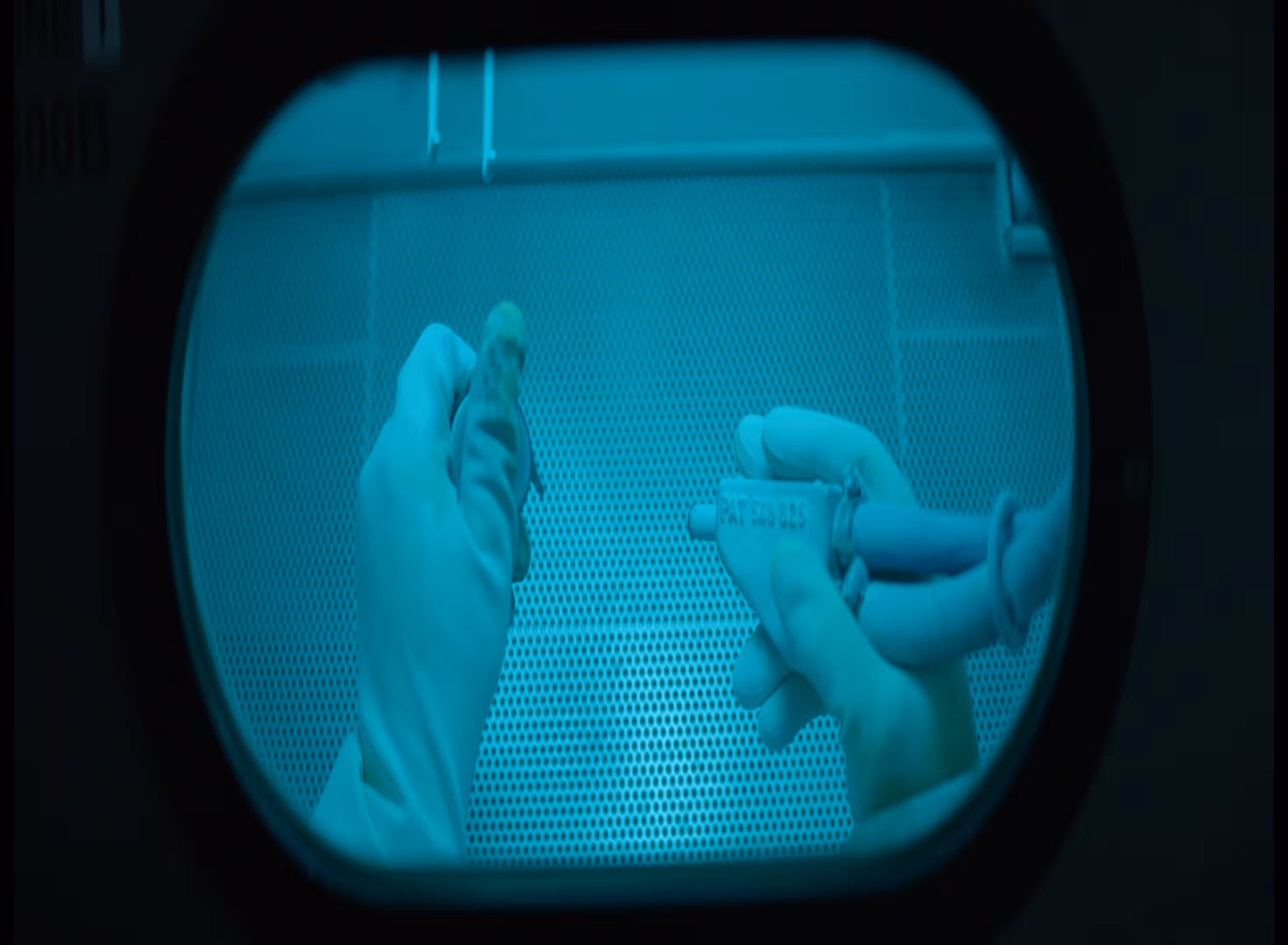 Rubber Gloves