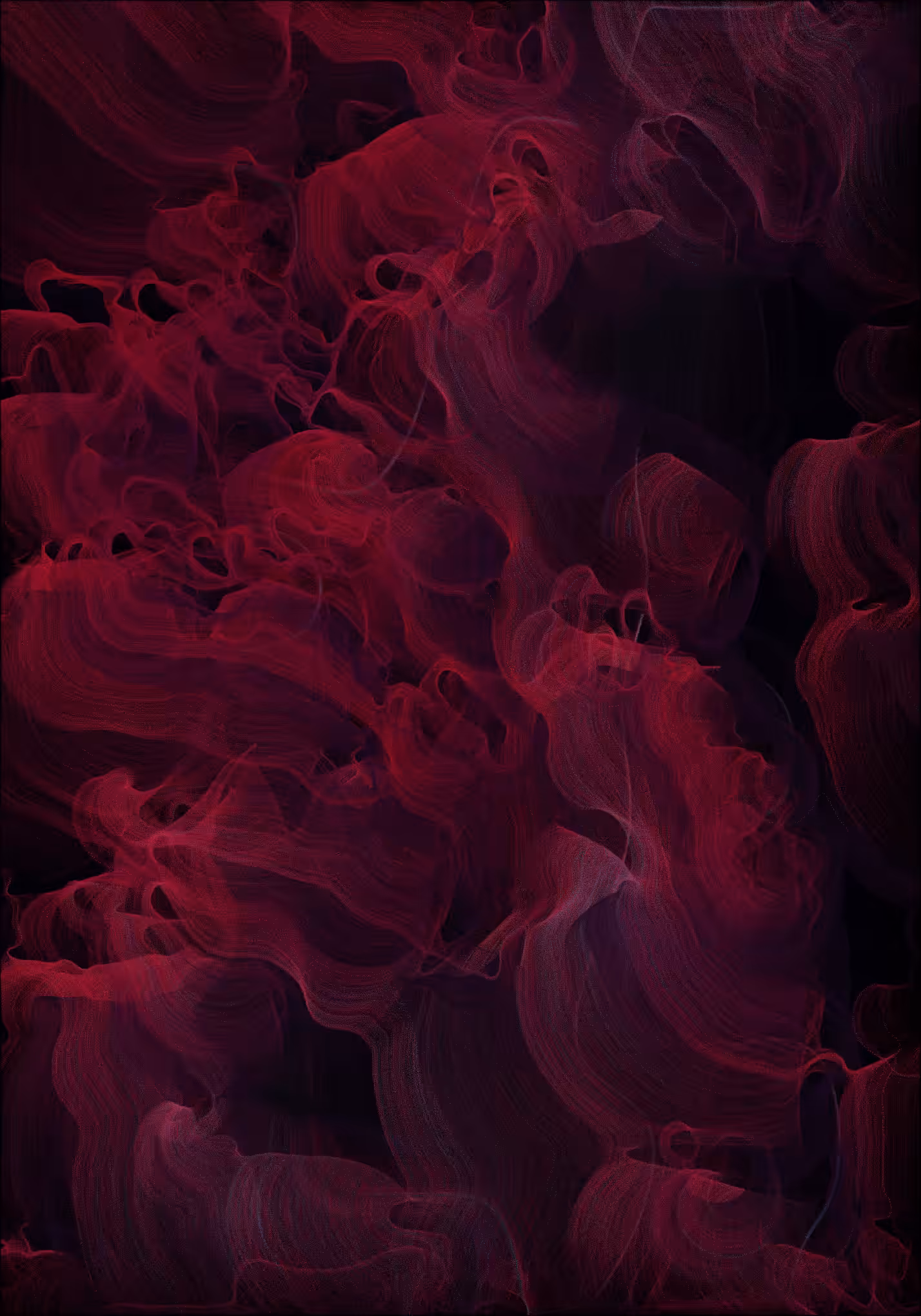 Bloom #12