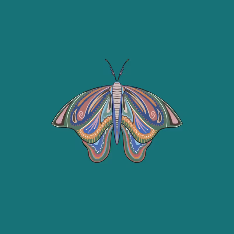 The Moth Experiment 2.0 P1 #26