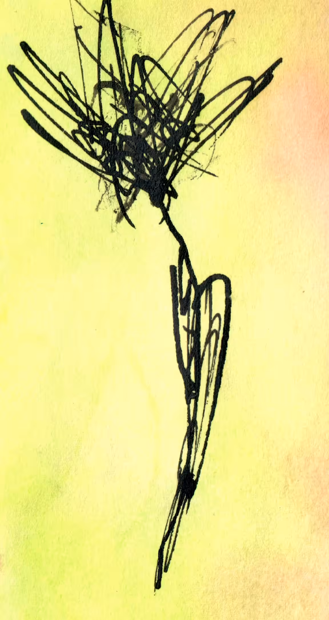 flor
