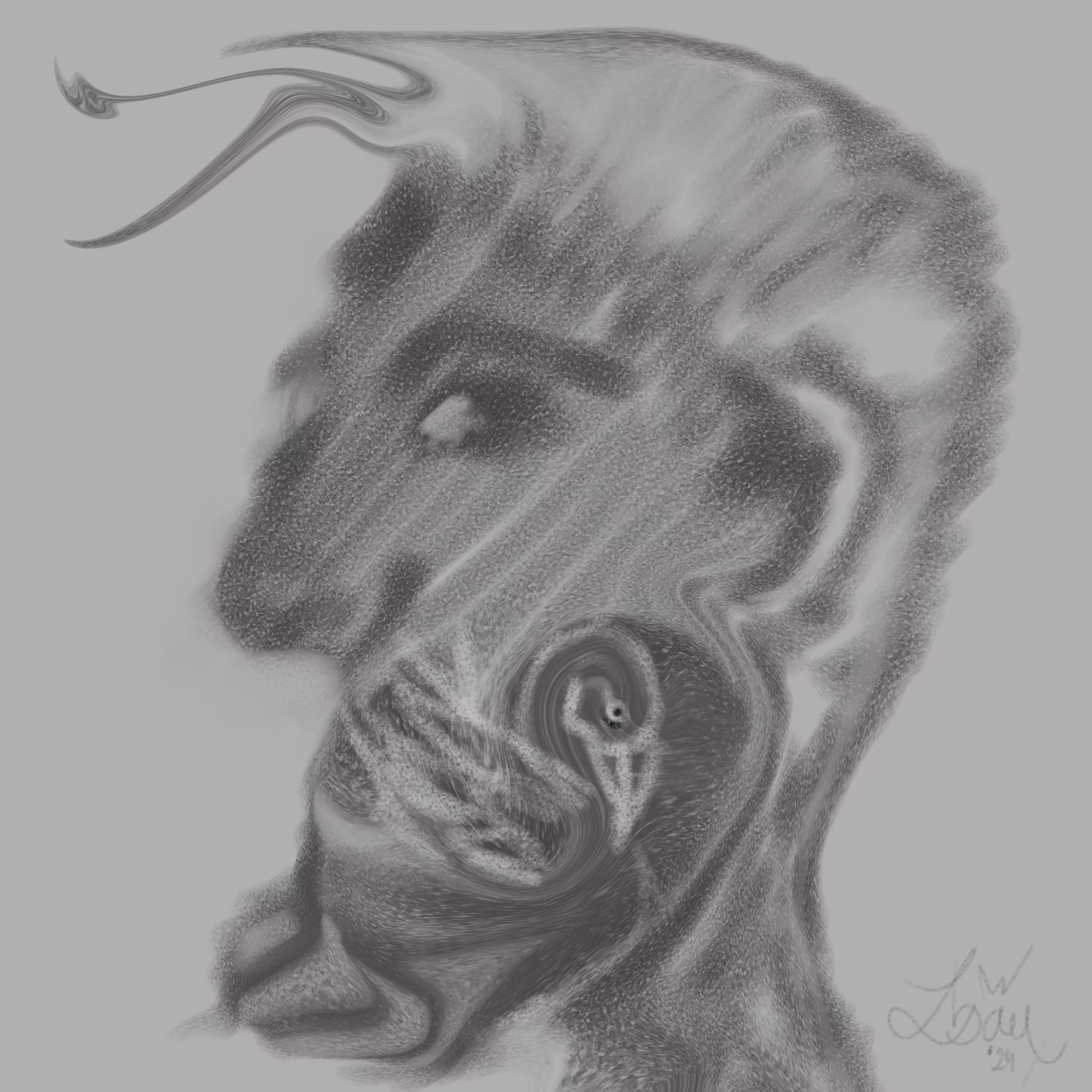 Face 28