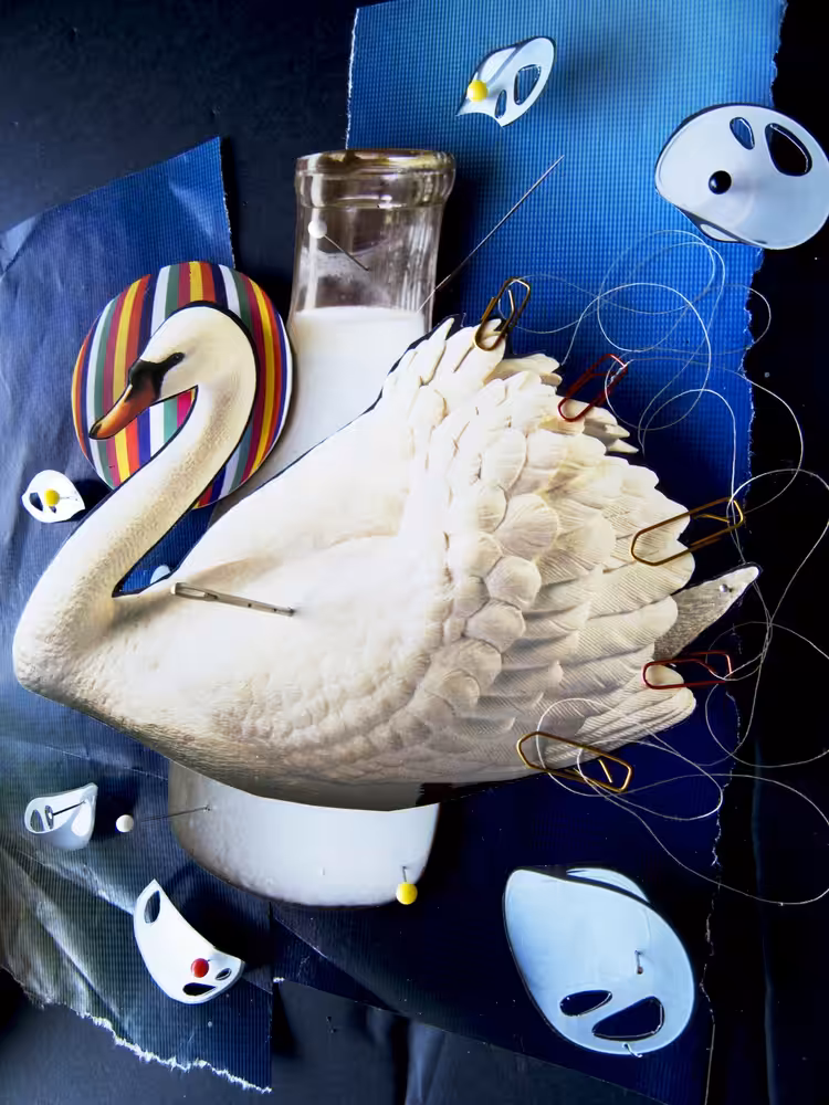 Milky Swan