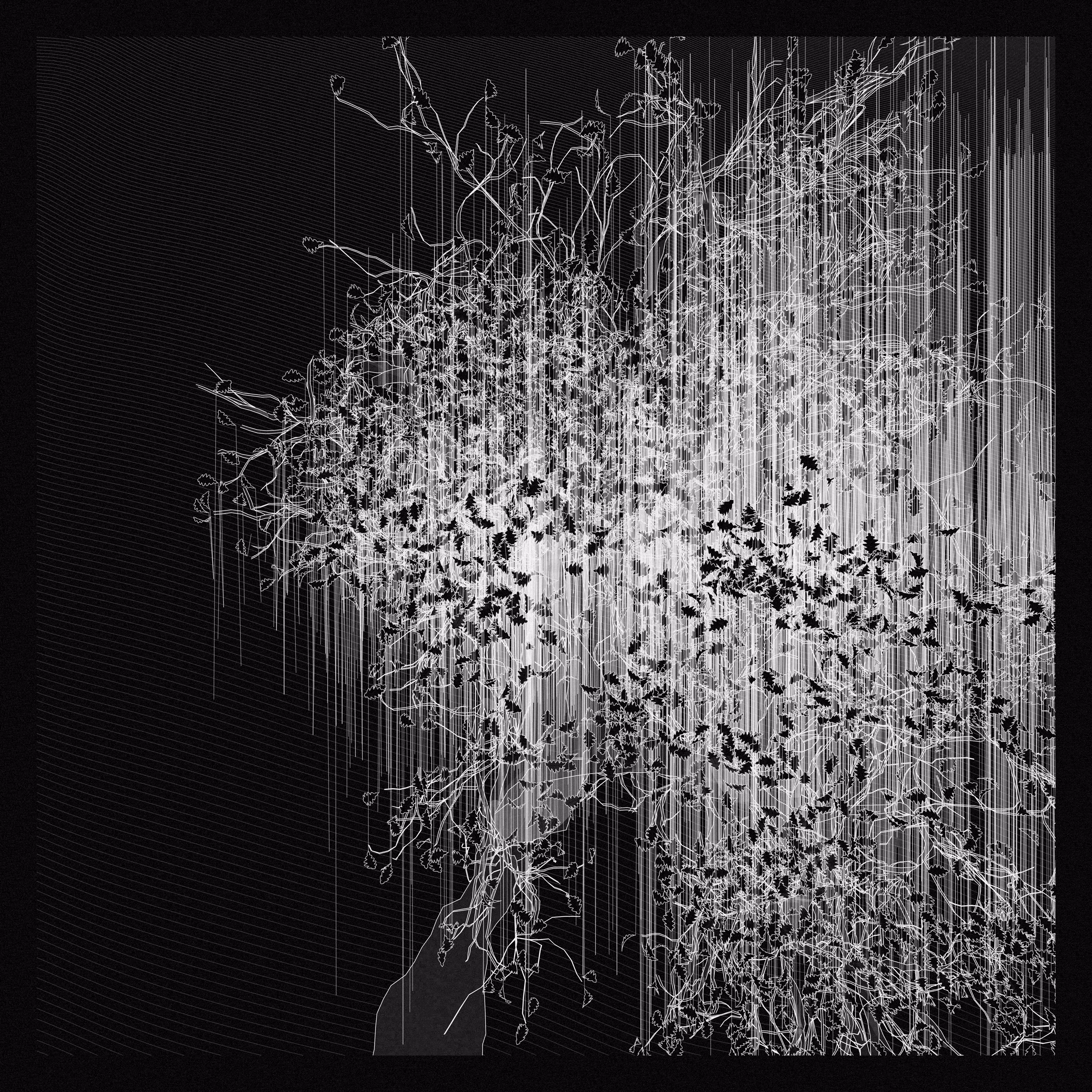 A Bugged Forest #737