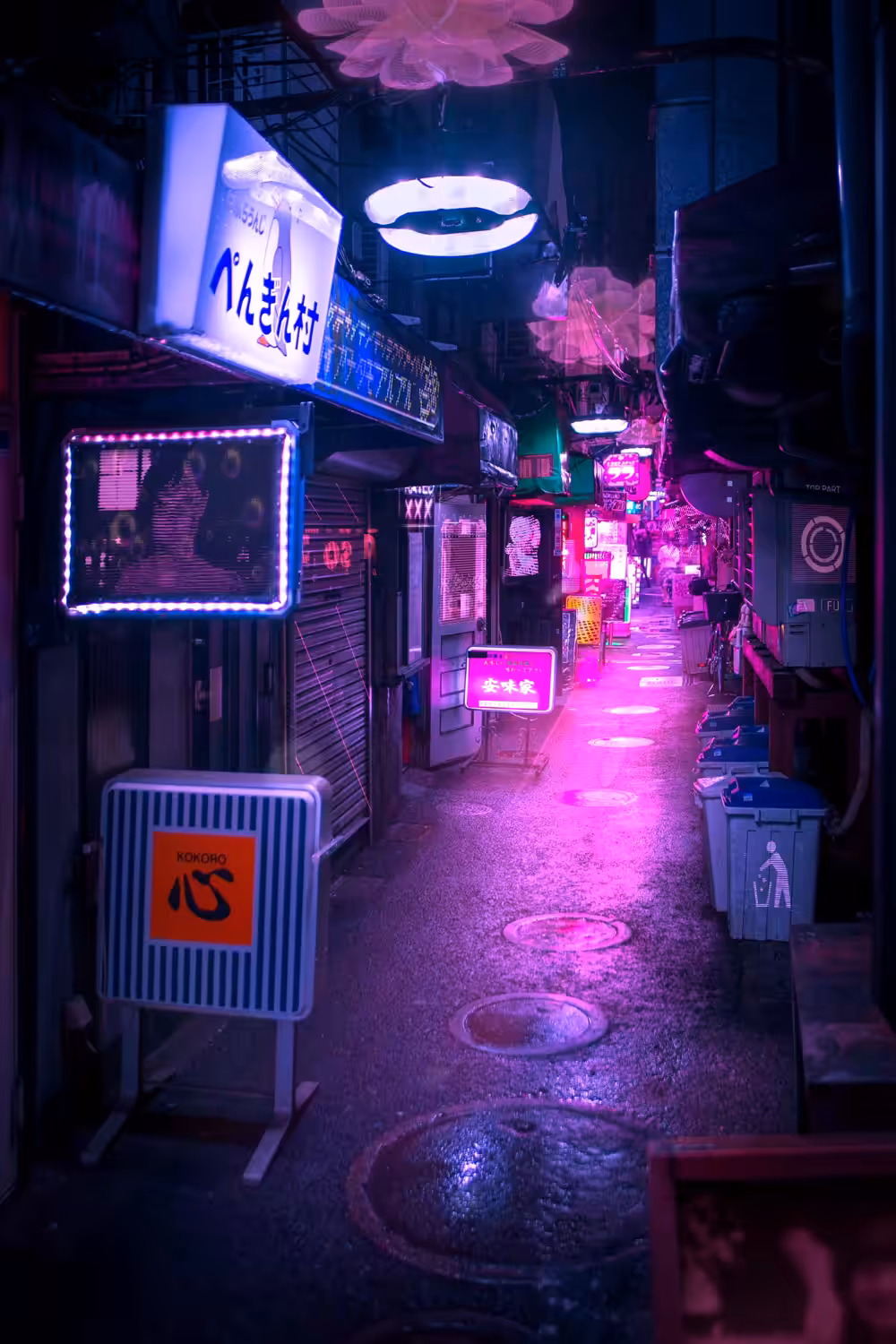 NOCTURAL