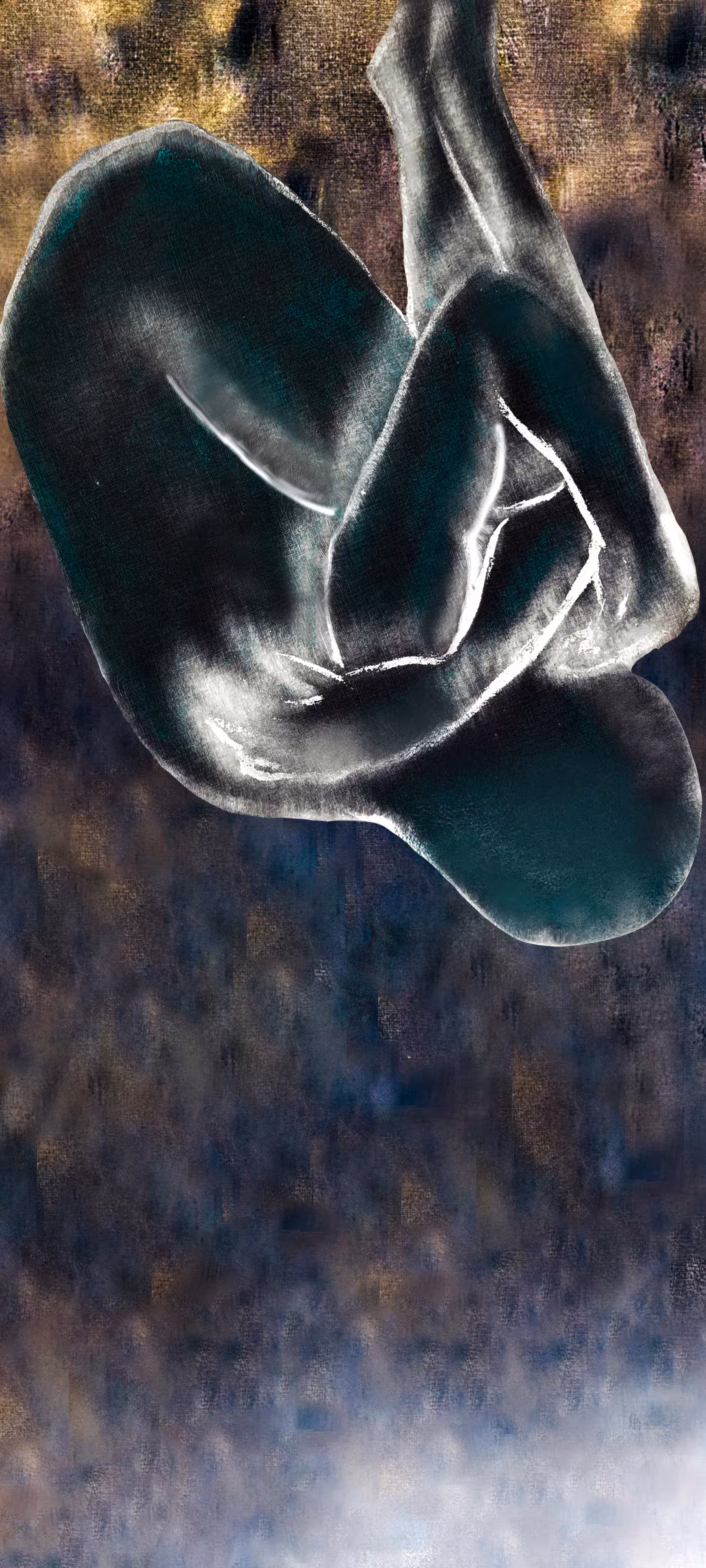 Cold bodies in the void - COLLECTION 