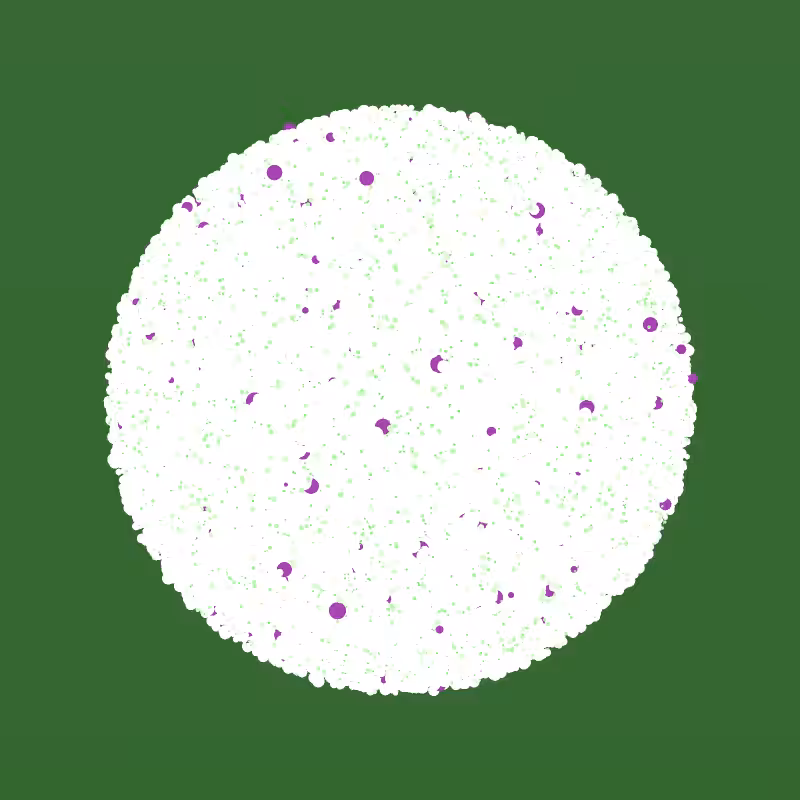 Coalesce #203