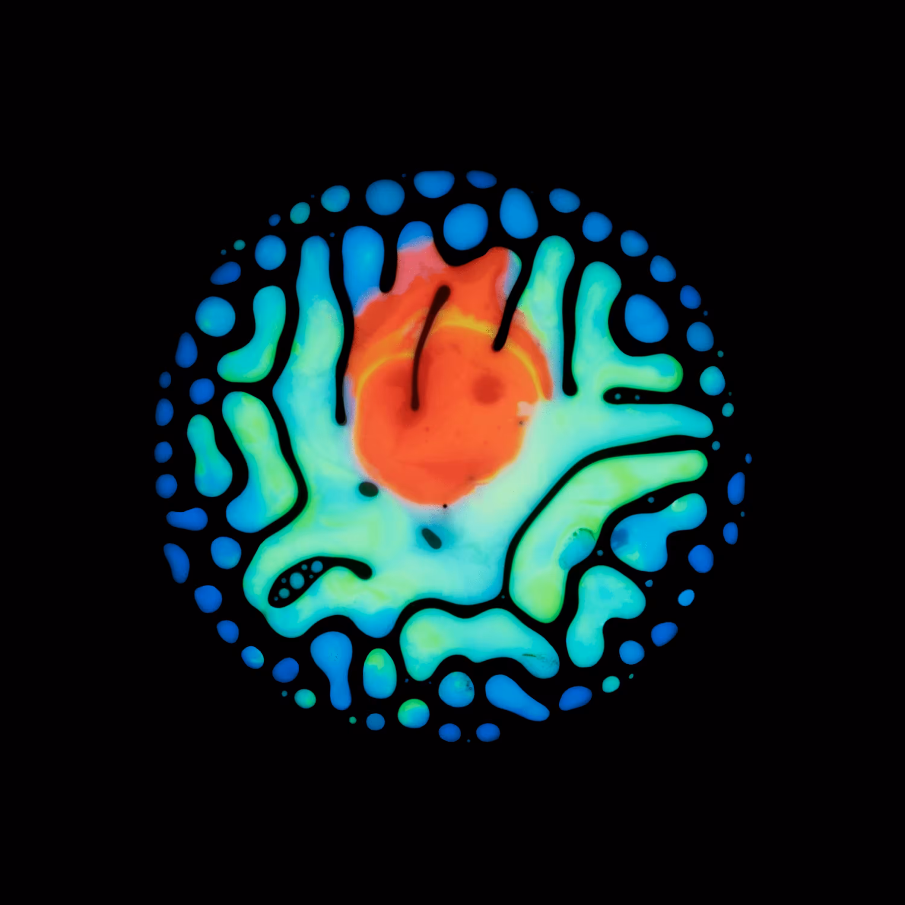 Haematopoiesis #32