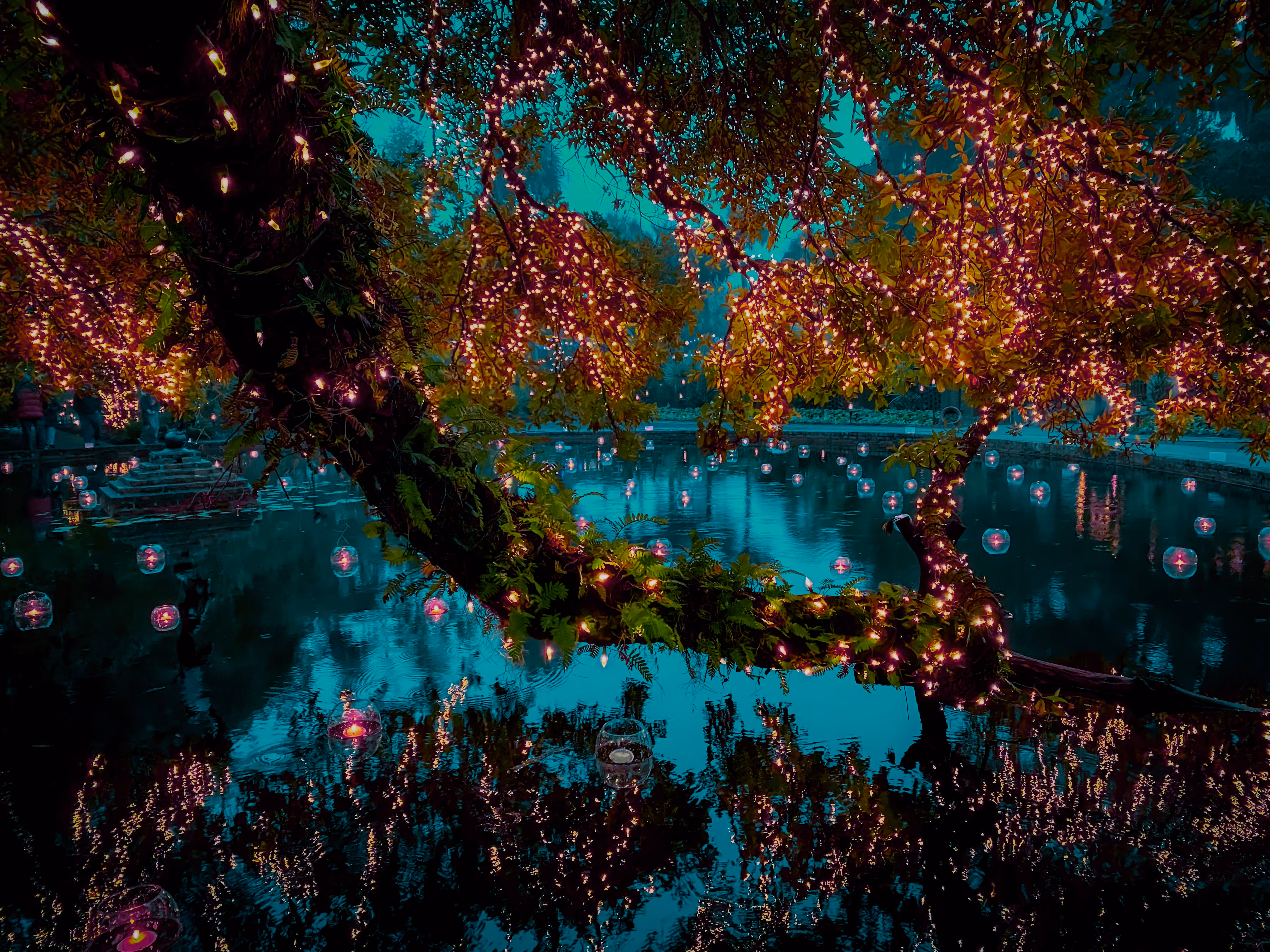 Night Of A Thousand Candles III