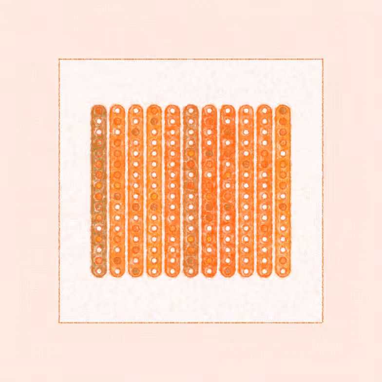 Long Form Blots #56