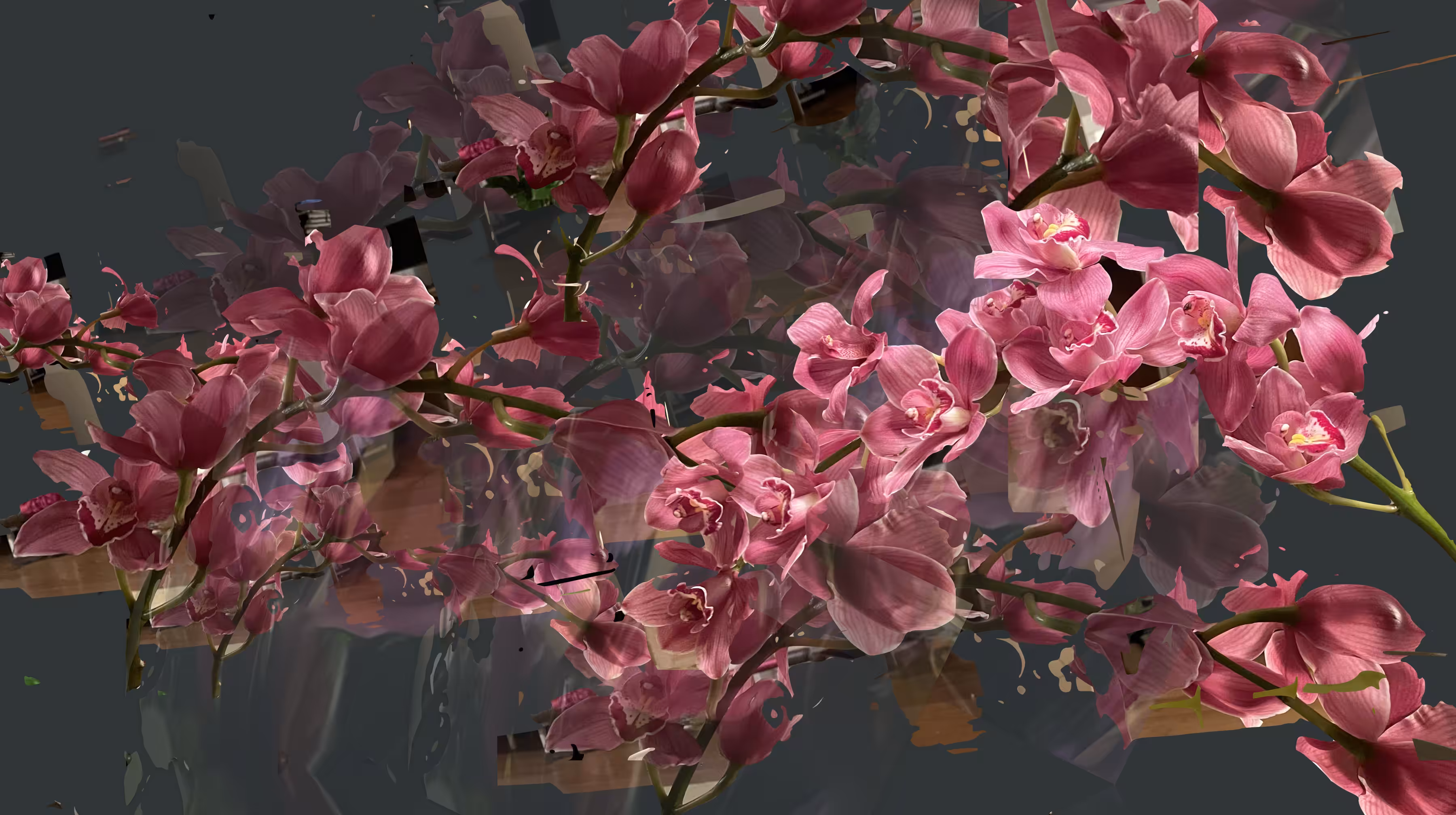 Orchid2World / From KF